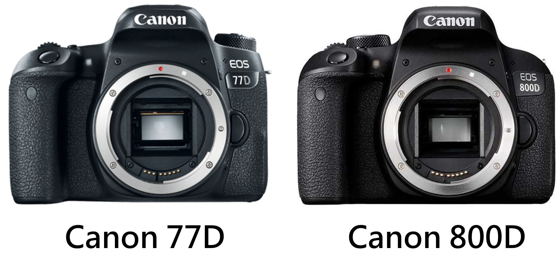 Canon 80D 與 77D