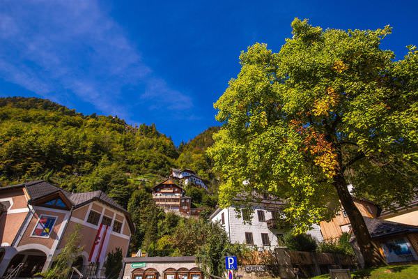 18.5D3_9302_resized.jpg 18.5D3_9302_resized.jpg