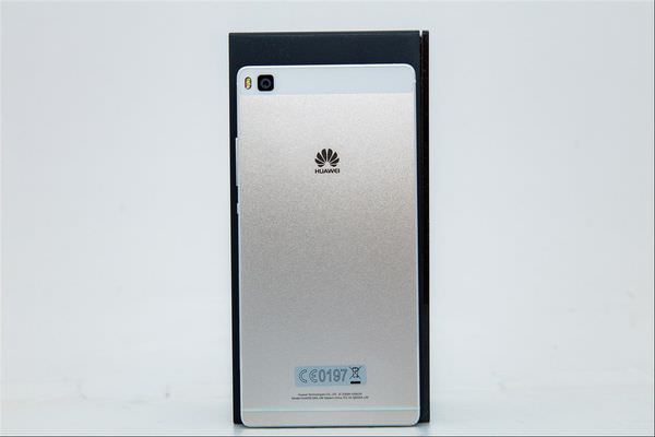 08.5DS_2137_resized.jpg 08.5DS_2137_resized.jpg