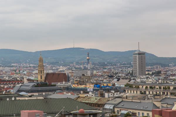 17.5D3_8172_resized.jpg 17.5D3_8172_resized.jpg