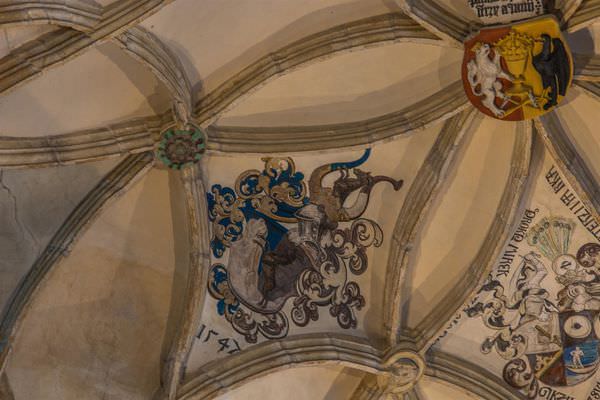 07.5D3_6375_resized.jpg 07.5D3_6375_resized.jpg