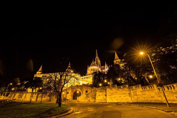 11.5D3_4542_resized.jpg 11.5D3_4542_resized.jpg