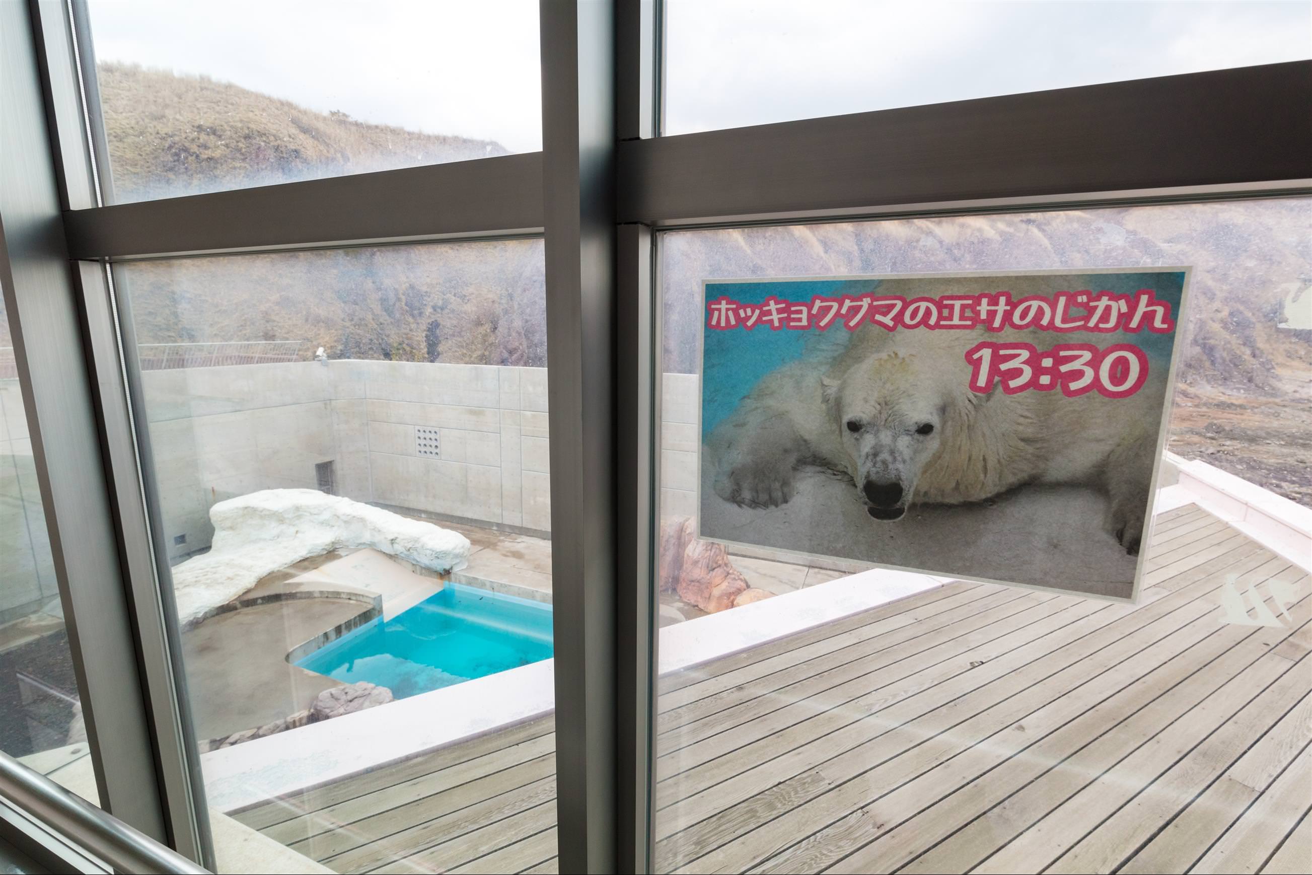 [秋田/男鹿] 男鹿水族館 GAO ，可愛北極熊與企鵝近距離觀看，數百種海洋生物齊聚一堂