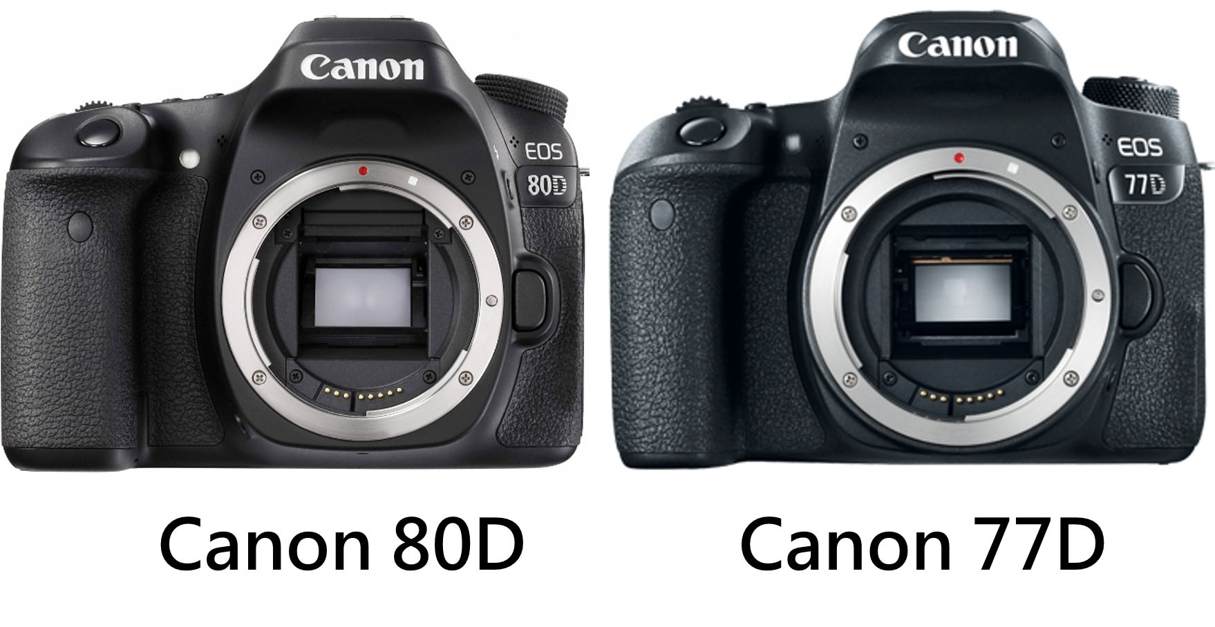 Canon 80D 與 77D