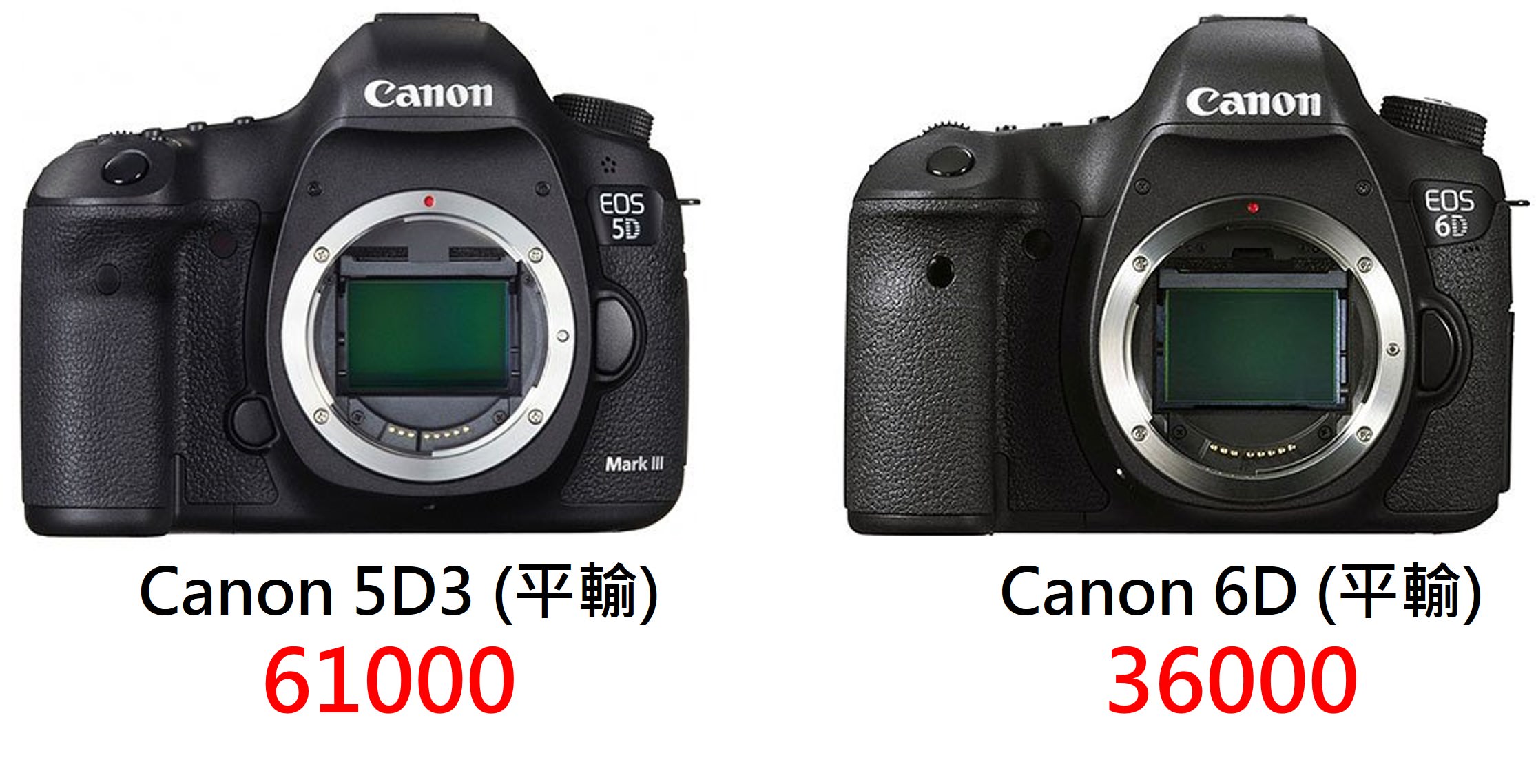 [攝影趣事78] 10 萬元預算，Canon 、Sony 全片幅 FF 相機怎麼選?