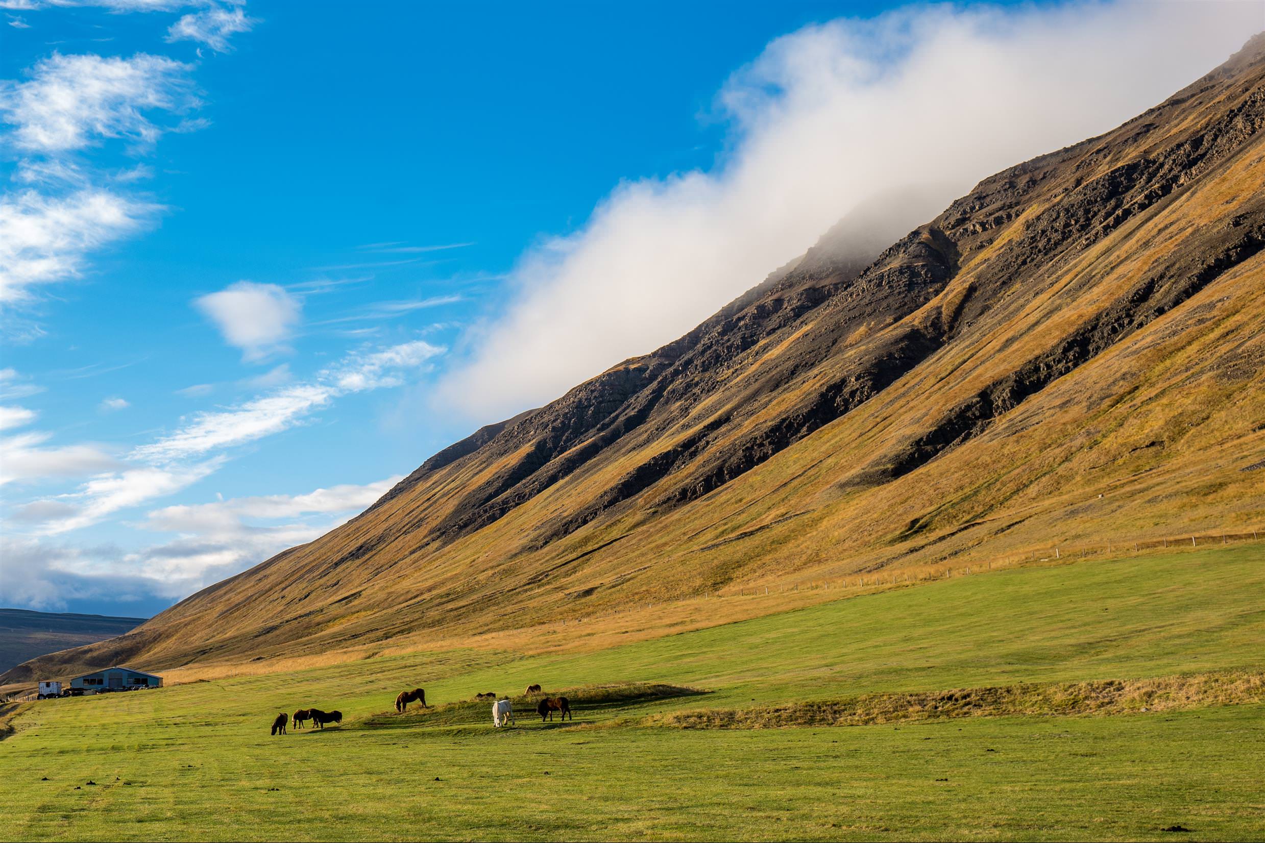 [2017冰島旅程] 冰島自助第 08 天：米湖 - 眾神瀑布 - 阿克雷里 - 布倫迪歐斯