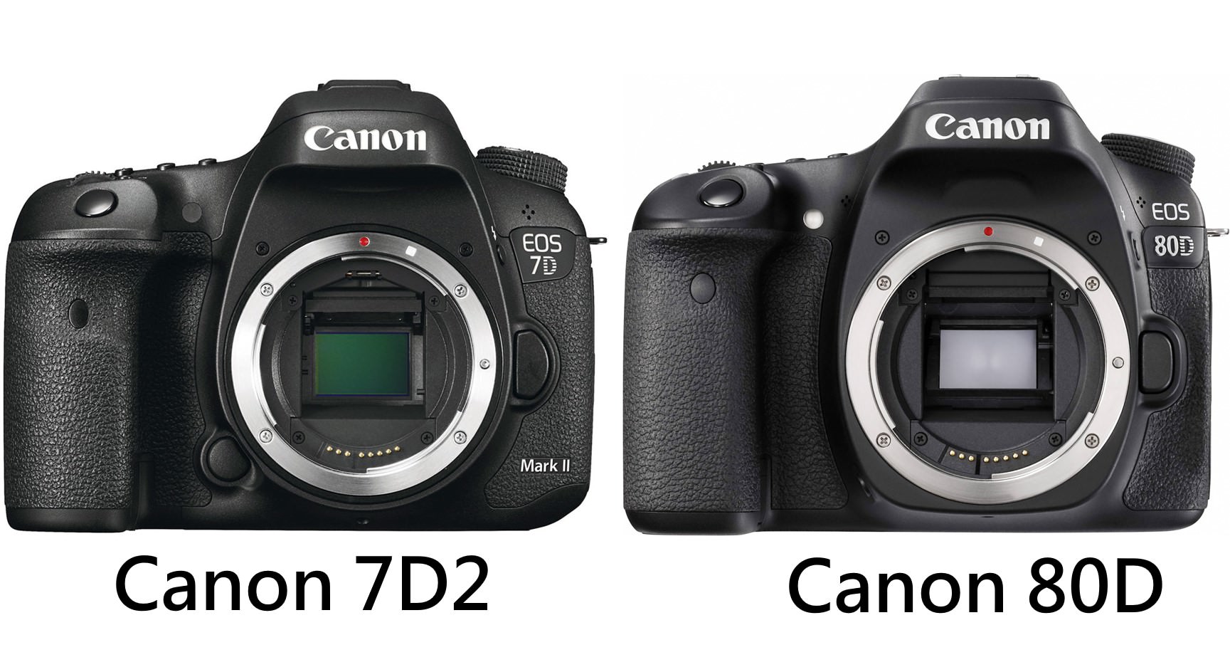 [聊攝影212] 2018 Canon 單眼相機推薦 , 77D, EOS M6 , 5D4 , 6D2 上榜