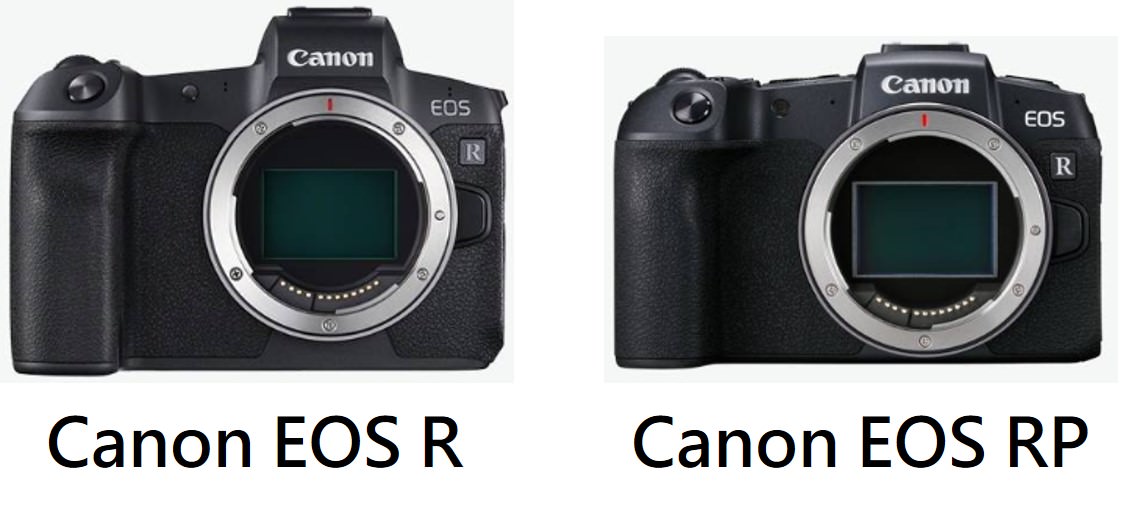 Canon EOS R RP 比較