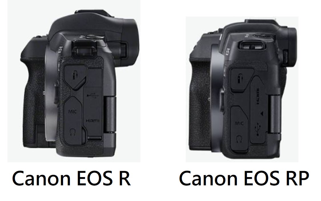 Canon EOS R RP 比較