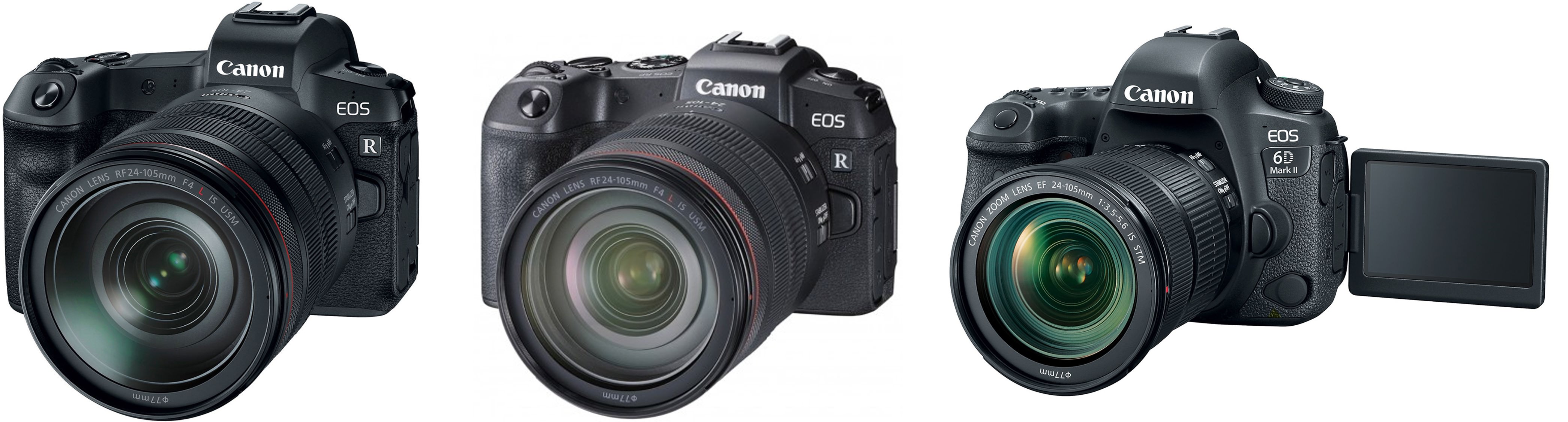 Canon EOS R RP 6D2 比較
