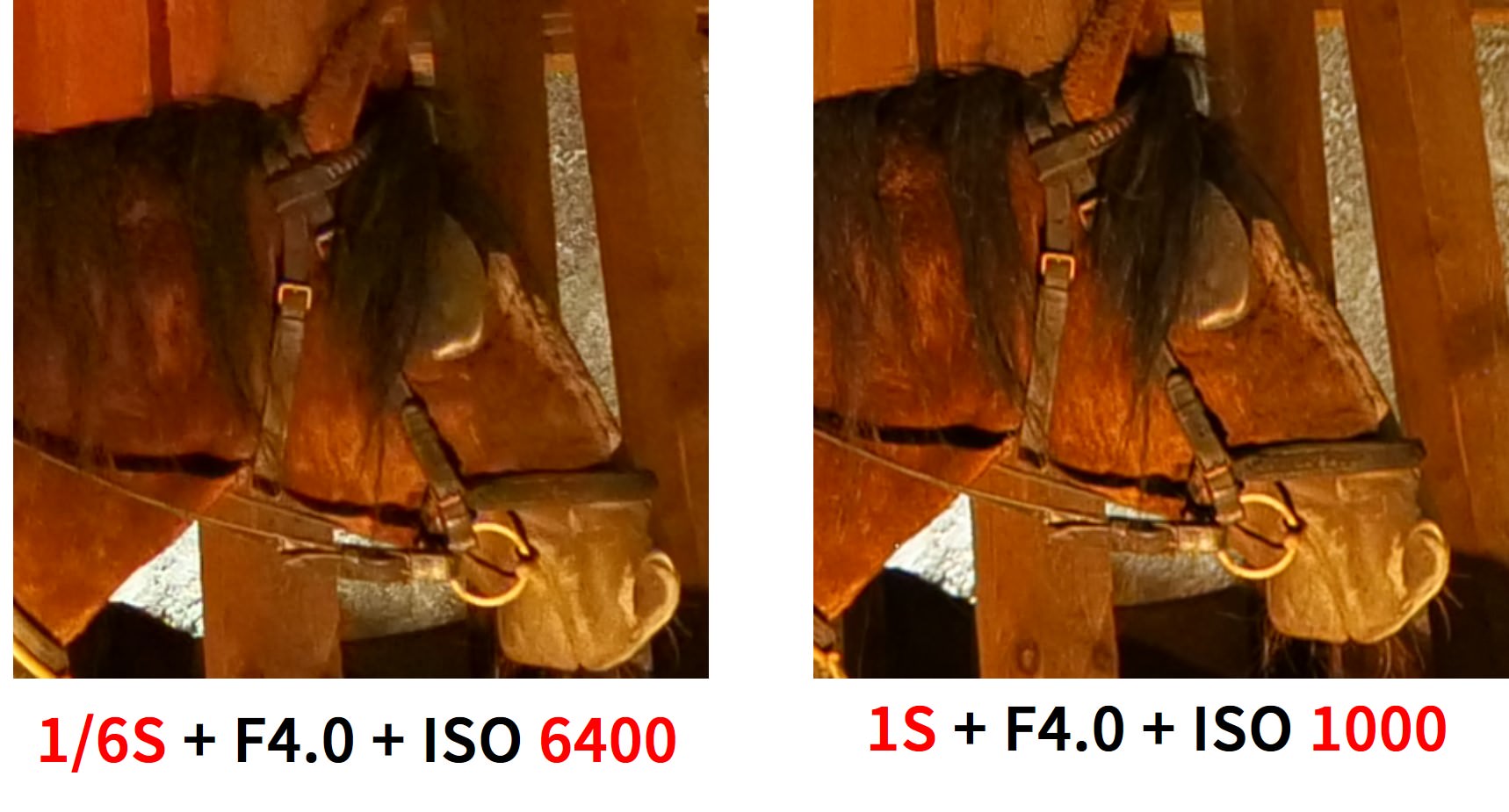 [比攝影104] Panasonic S1 S1R 開箱介紹，全片幅 4K/60FPS、每秒 9FPS 市場第一