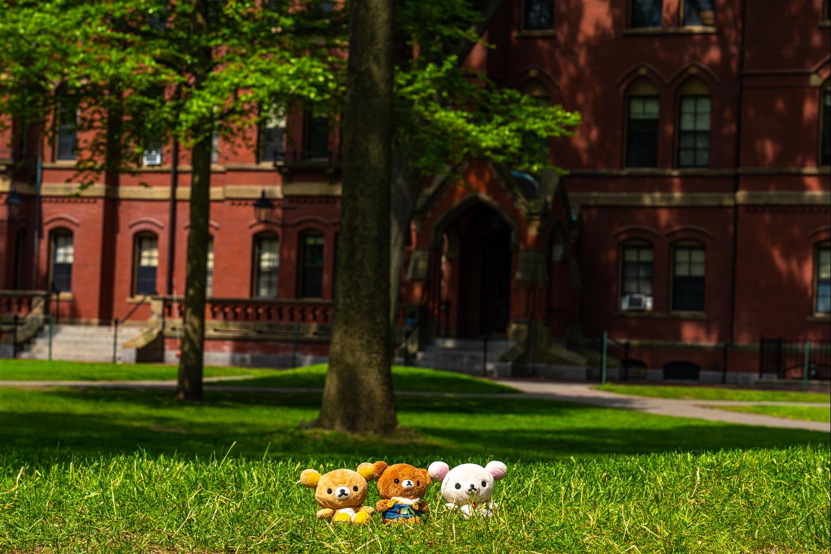 [美國/波士頓] 哈佛大學雕像 三個有趣的故事 ，哈佛大學校園有趣角落