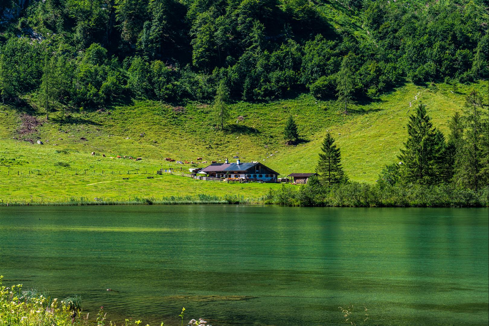 上湖 Obersee