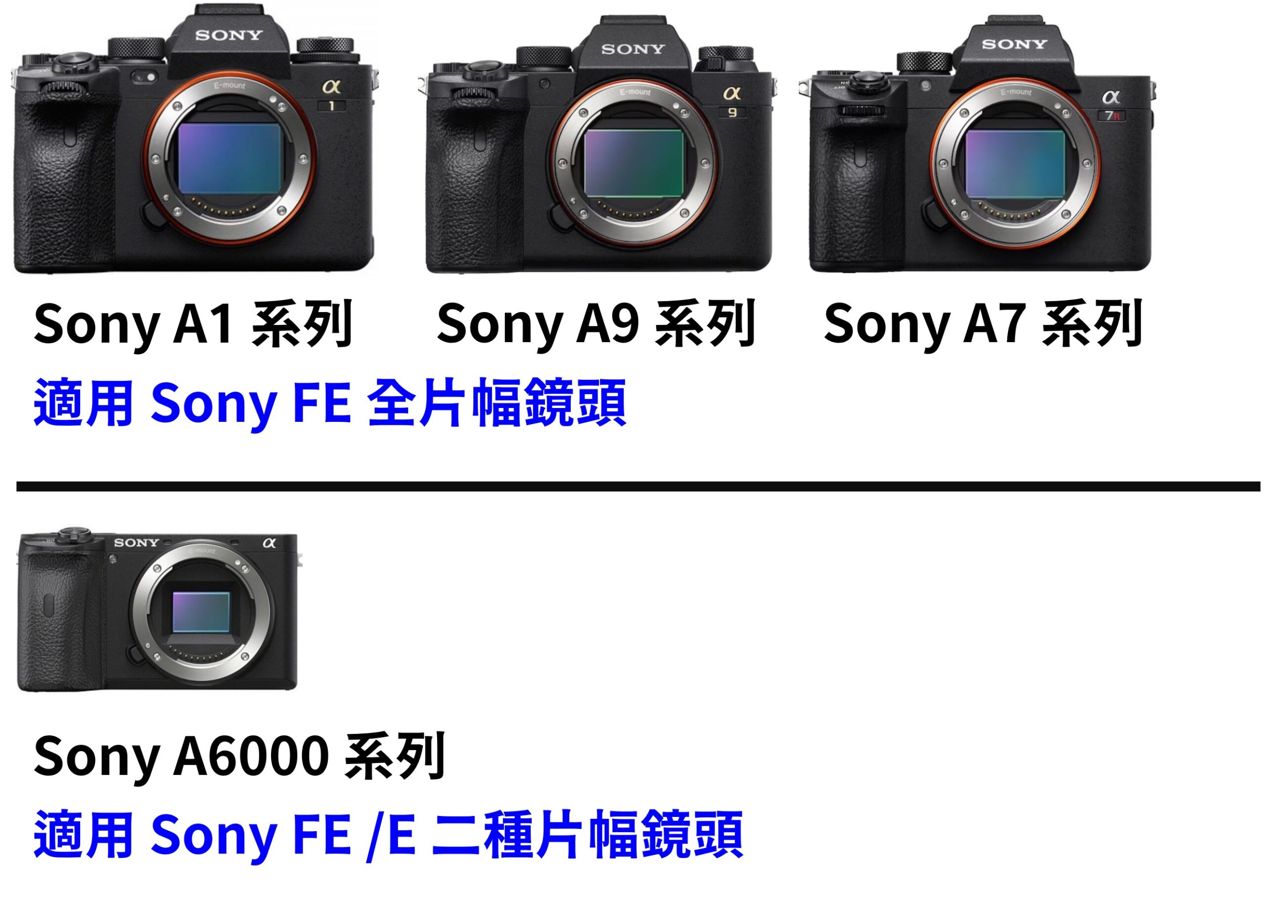 [聊攝影317] Sigma For Sony E 接環鏡頭，全片幅/APS-C 片幅鏡頭整理