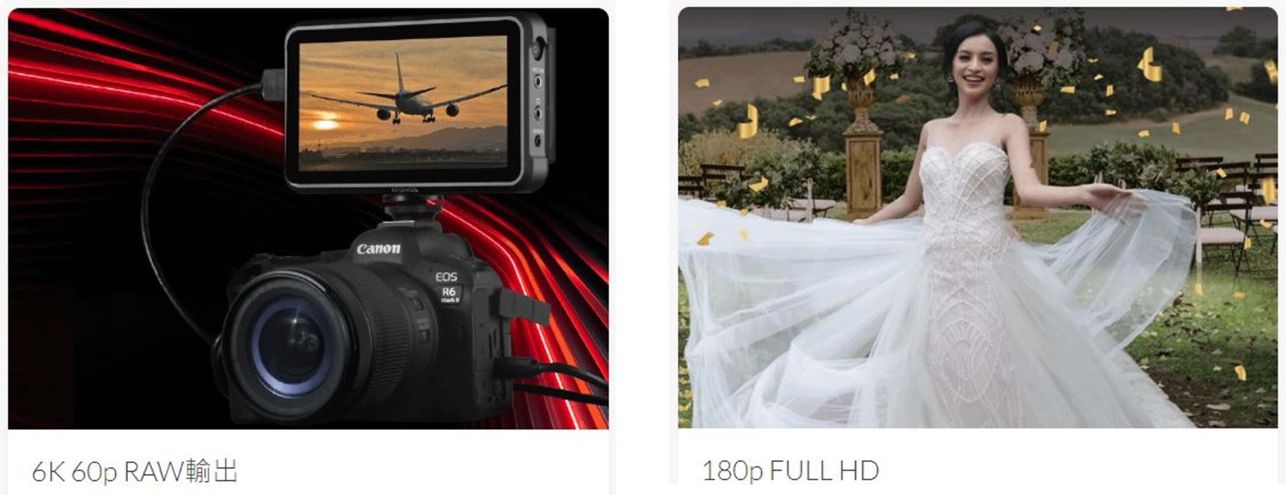 [比攝影119] Canon EOS R6M2 規格整理與說明 - 硬體小改、軟體昇級之作品