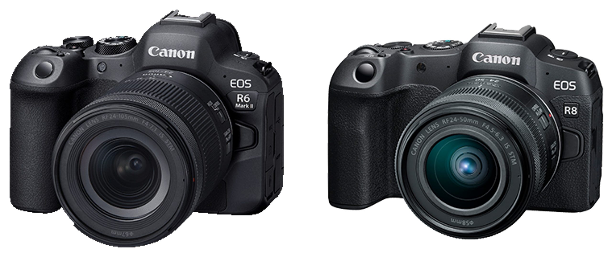 Canon EOS R62 對比 Canon EOS R8