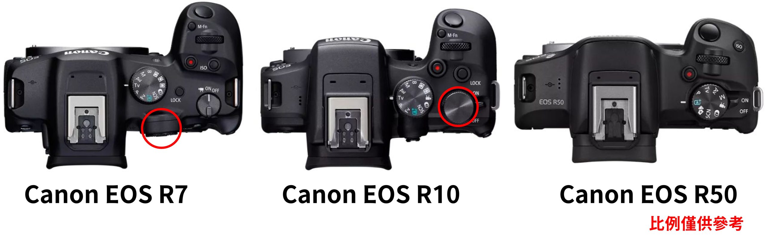 [比攝影125] Canon EOS R7 / R10 / R50 一起比較，哪台最適合你