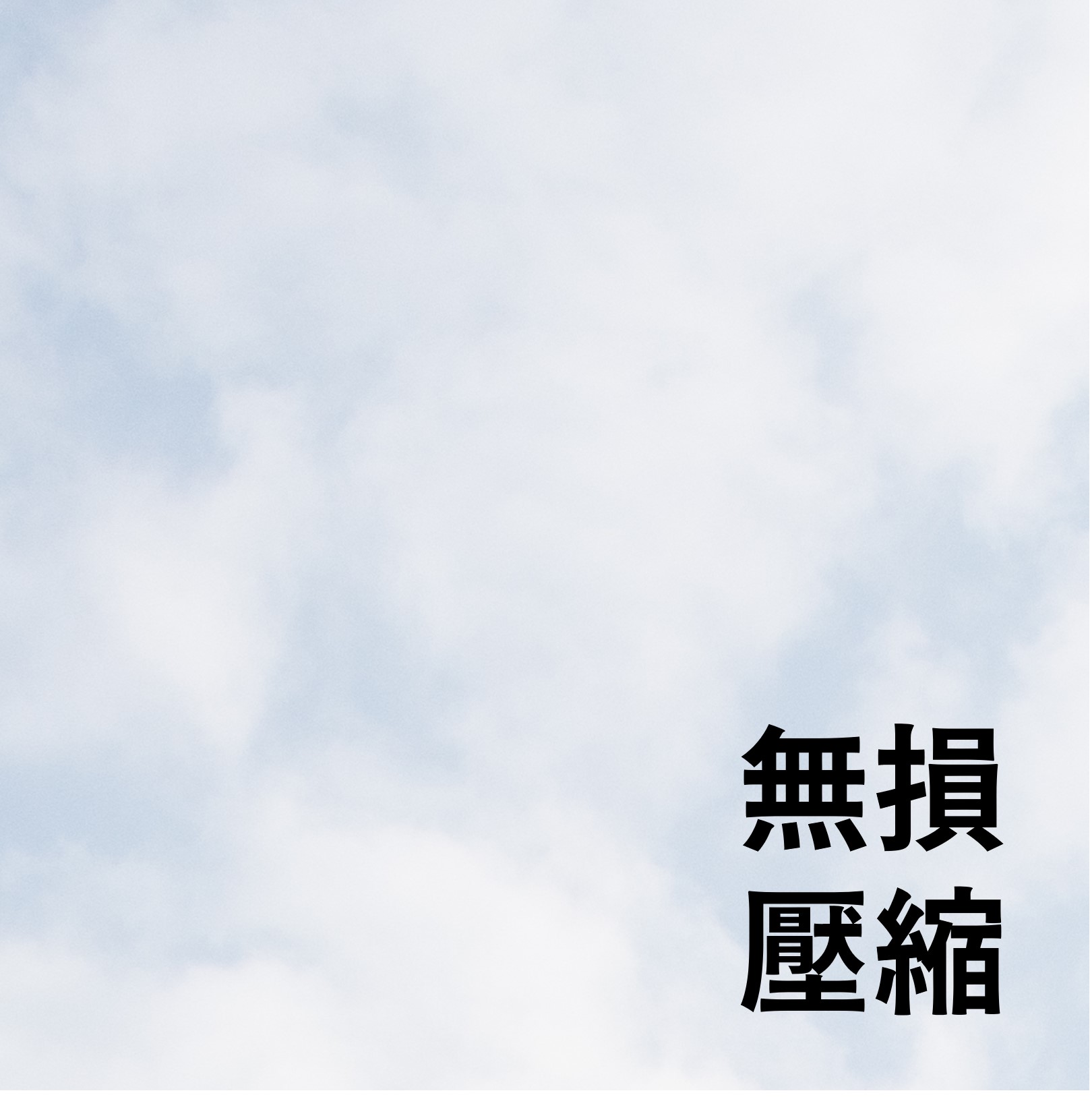 [聊攝影337] Nikon Z8/Z9 RAW 記錄格式比較建議