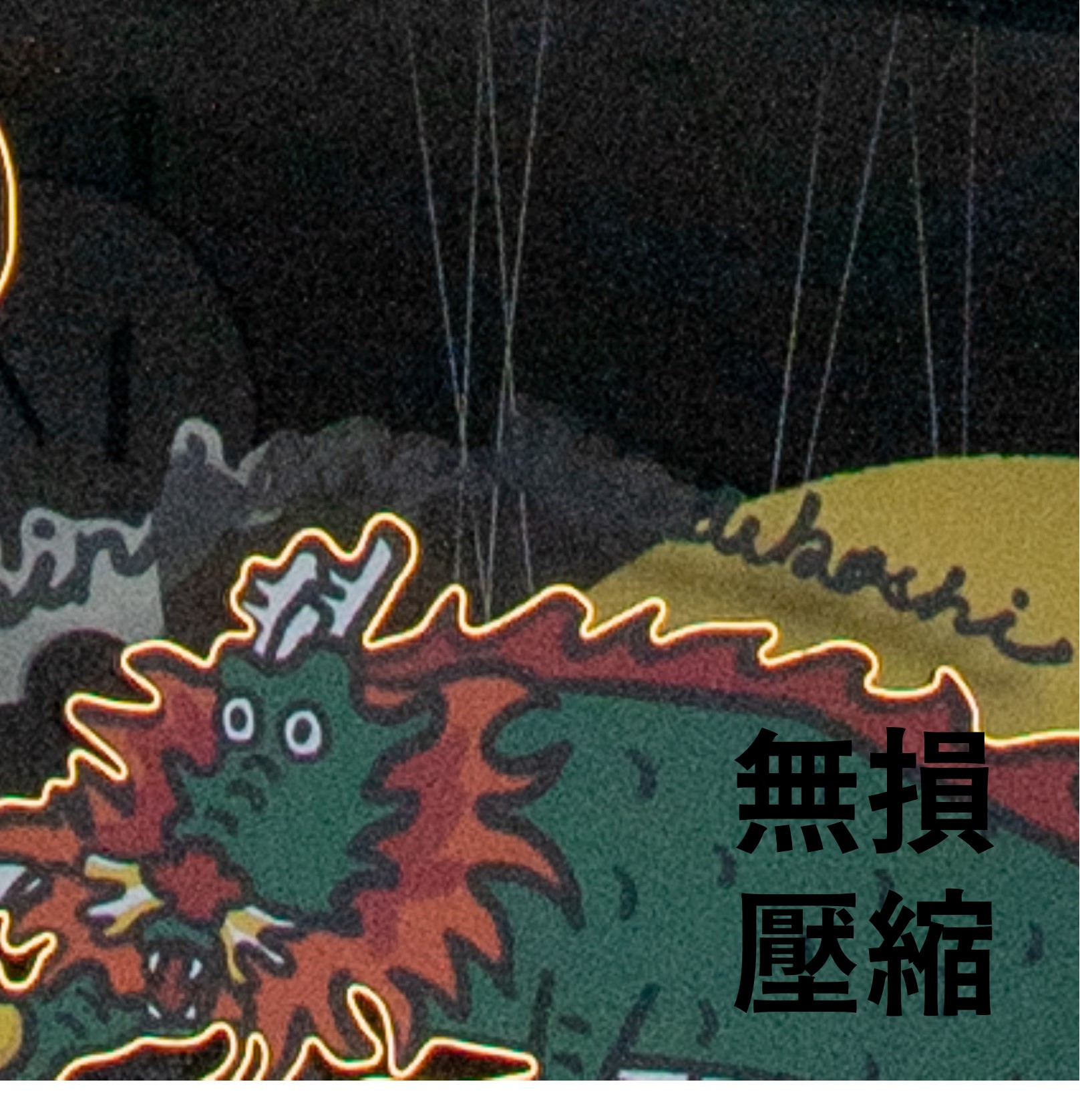 [聊攝影337] Nikon Z8/Z9 RAW 記錄格式比較建議