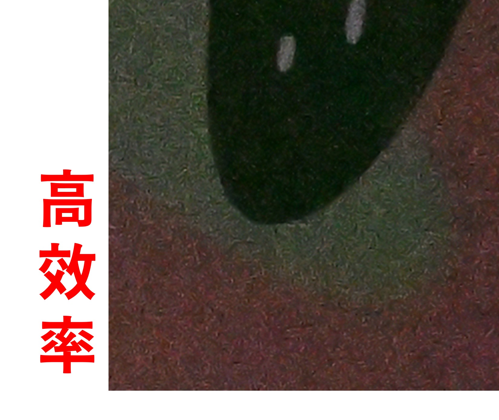 [聊攝影337] Nikon Z8/Z9 RAW 記錄格式比較建議