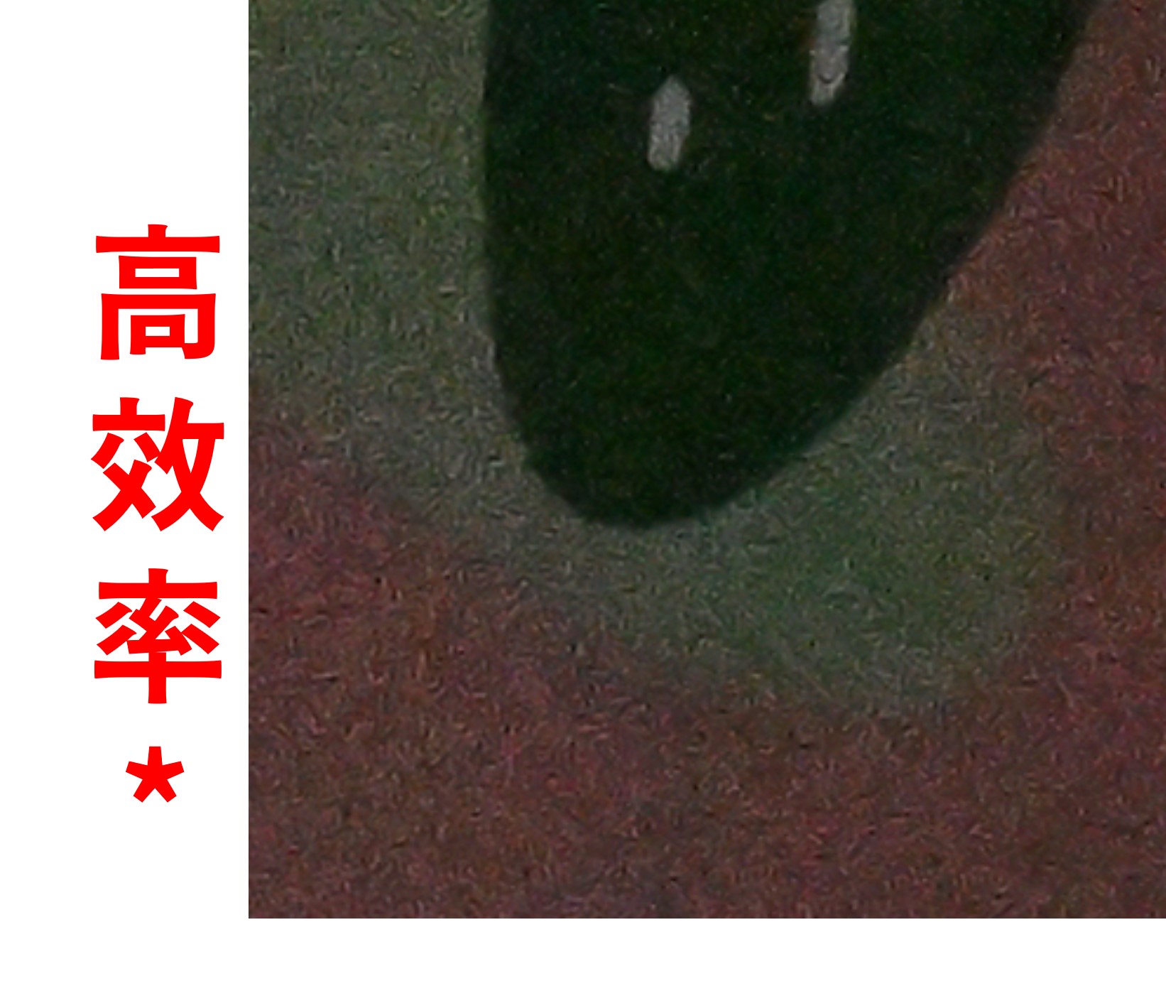 [聊攝影337] Nikon Z8/Z9 RAW 記錄格式比較建議