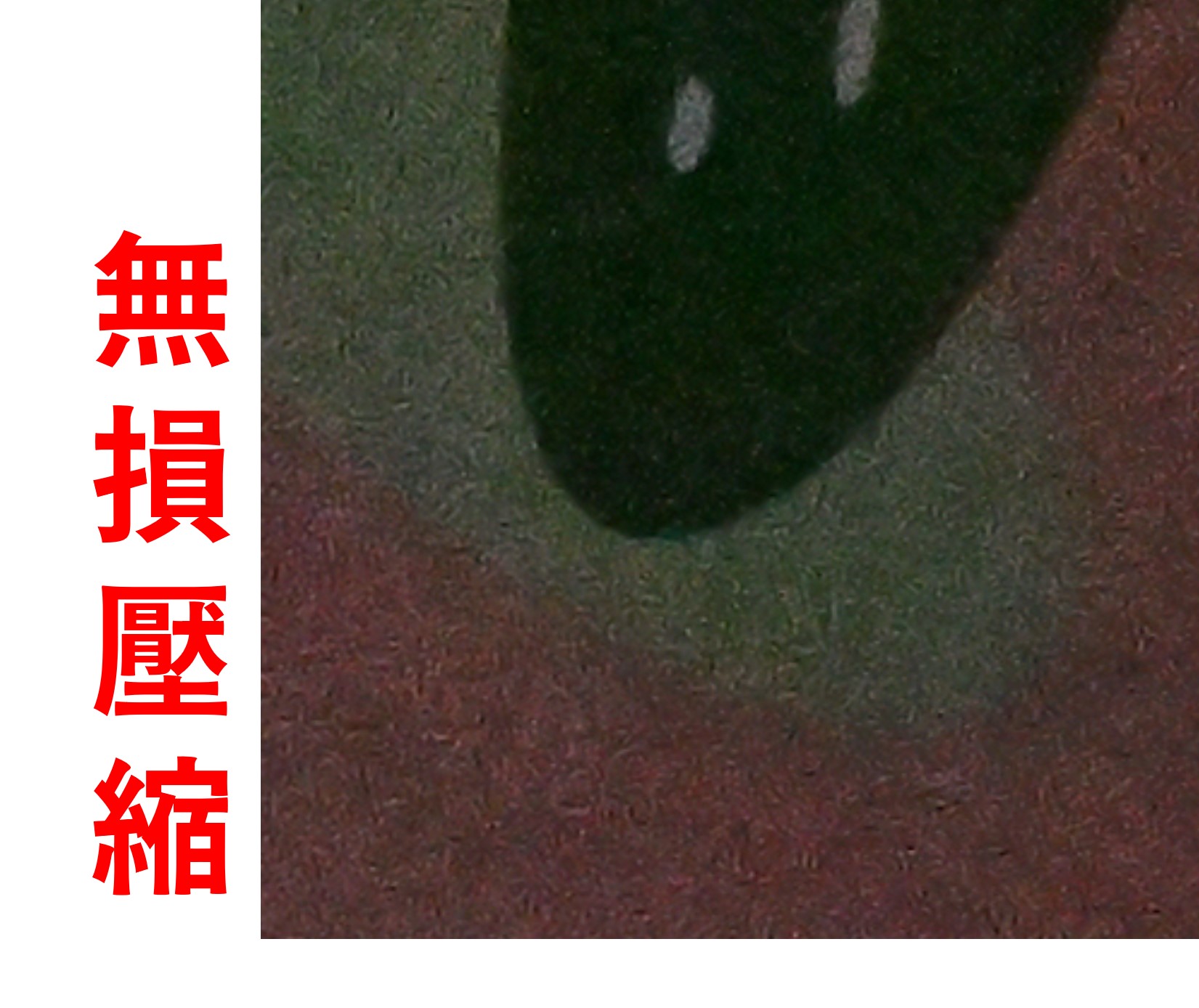 [聊攝影337] Nikon Z8/Z9 RAW 記錄格式比較建議