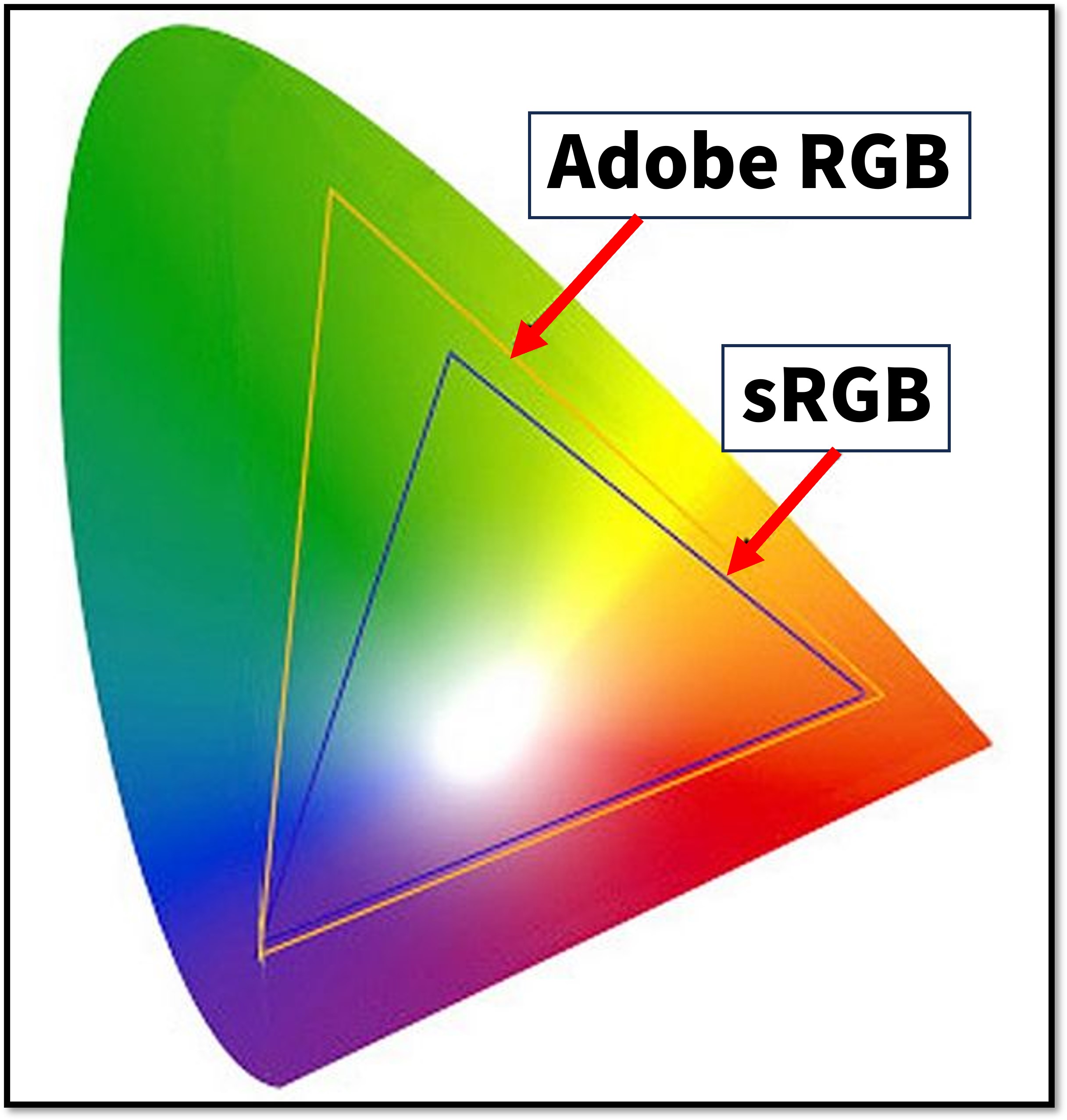 [聊攝影346] Nikon Z 相機通用教學 Vol08.色彩空間、主動式 D-Lighting