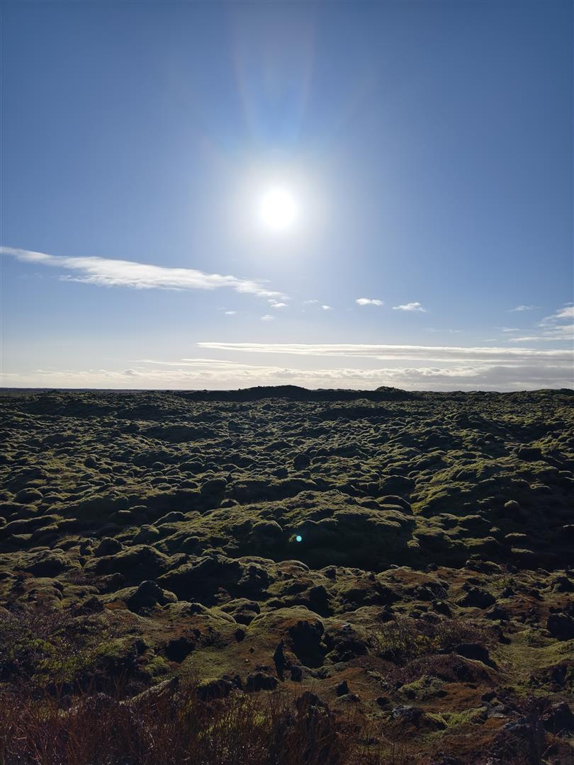 [教攝影122] 手機相機能取代相機嗎? 新的思考途徑來回答這問題