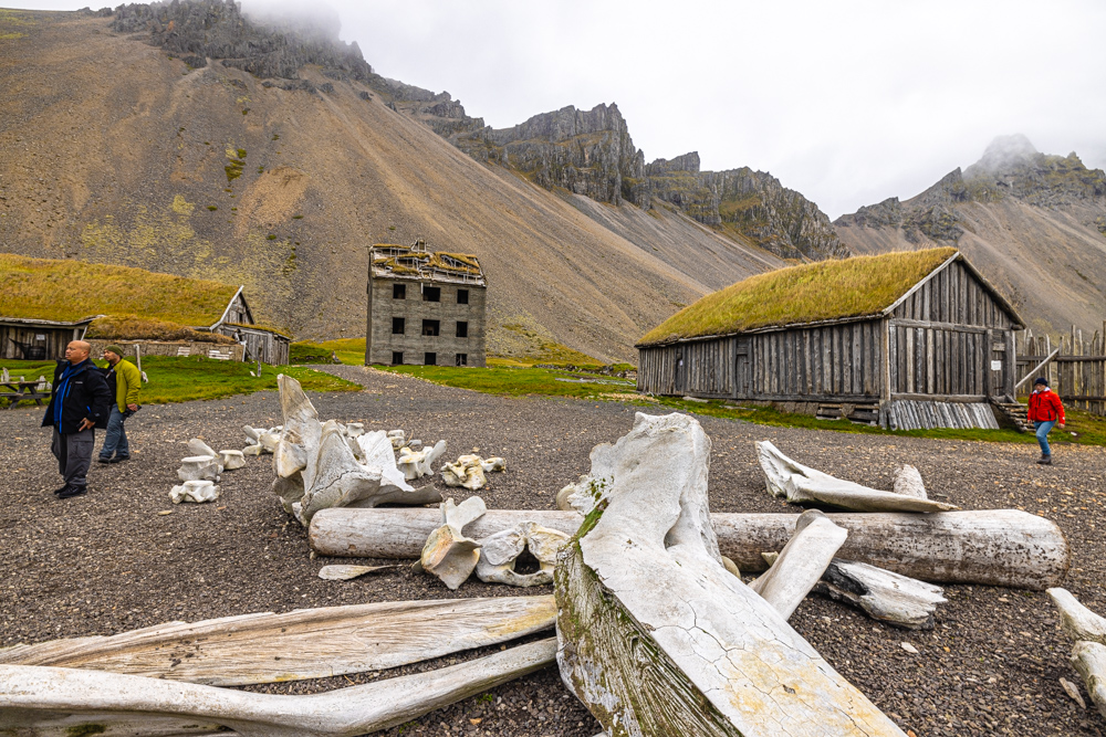 [冰島/東南] 西角山 Vestrahorn ，海天一色美景 & 維京人部落