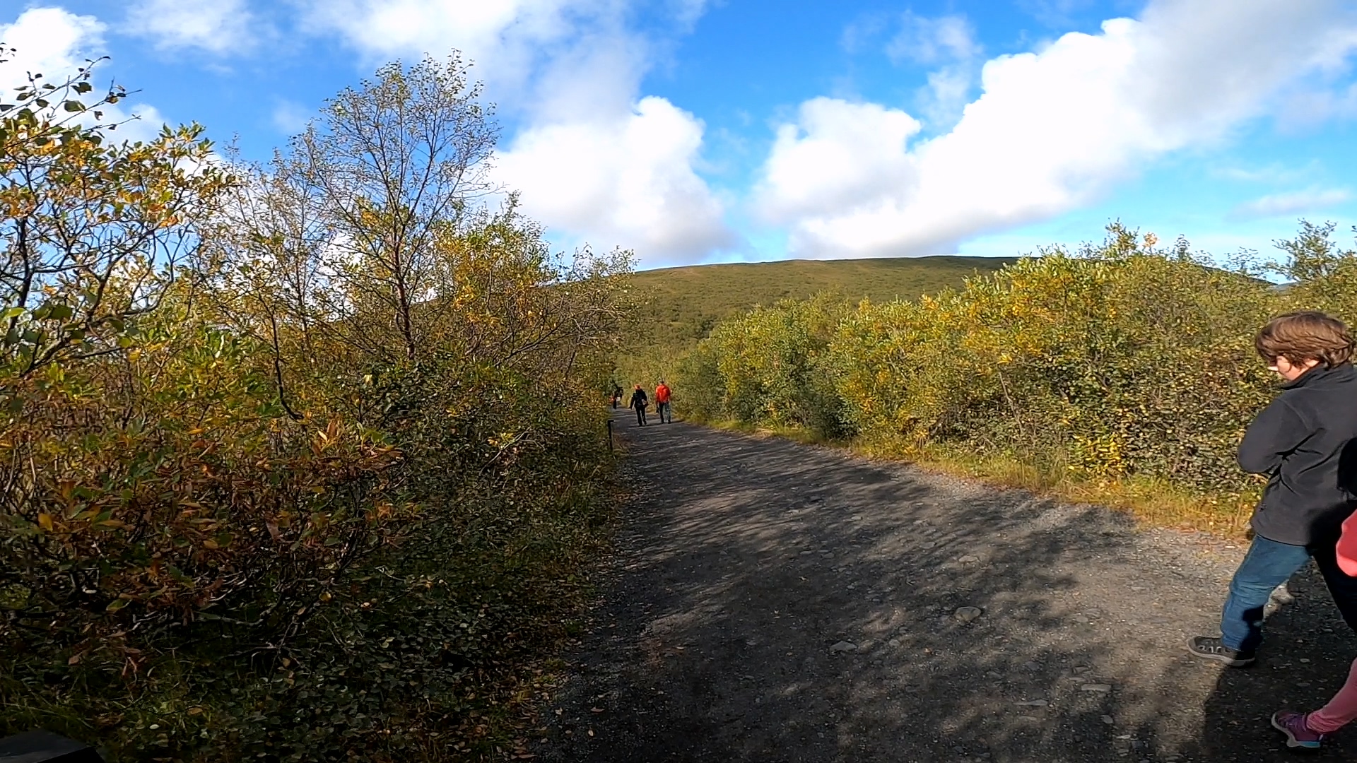 Svartifoss 斯瓦蒂佛斯瀑布