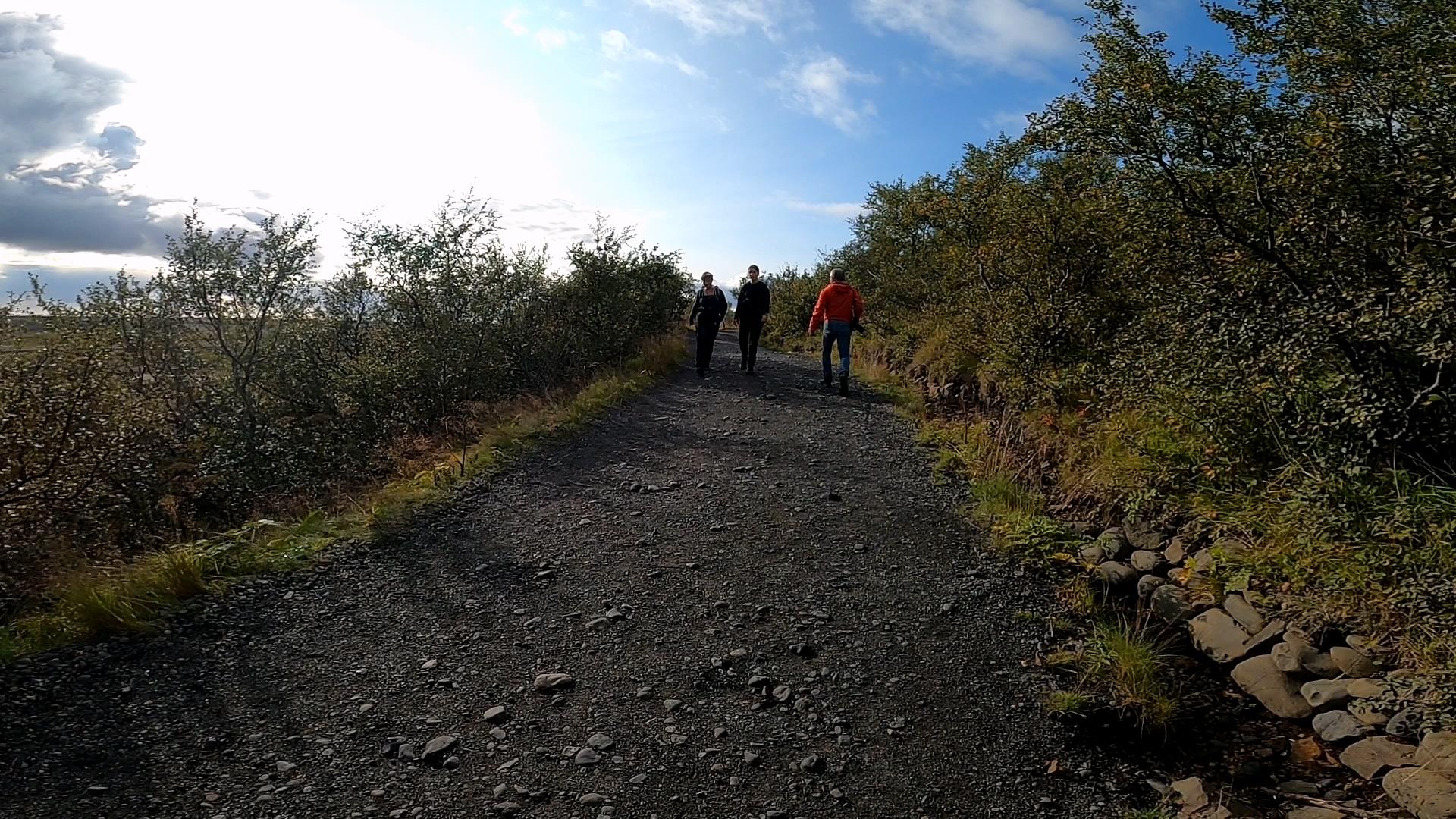 Svartifoss 斯瓦蒂佛斯瀑布