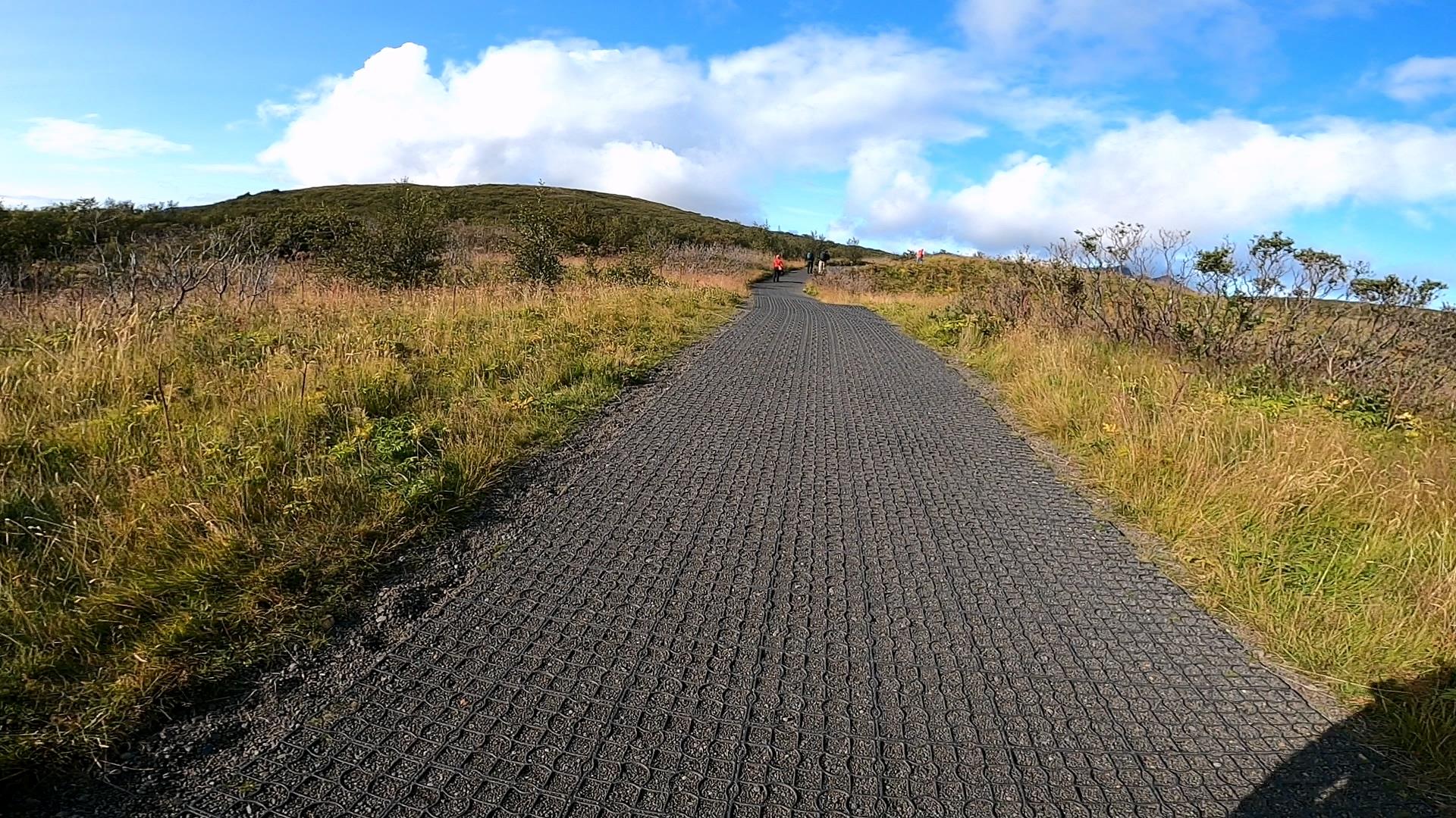 Svartifoss 斯瓦蒂佛斯瀑布