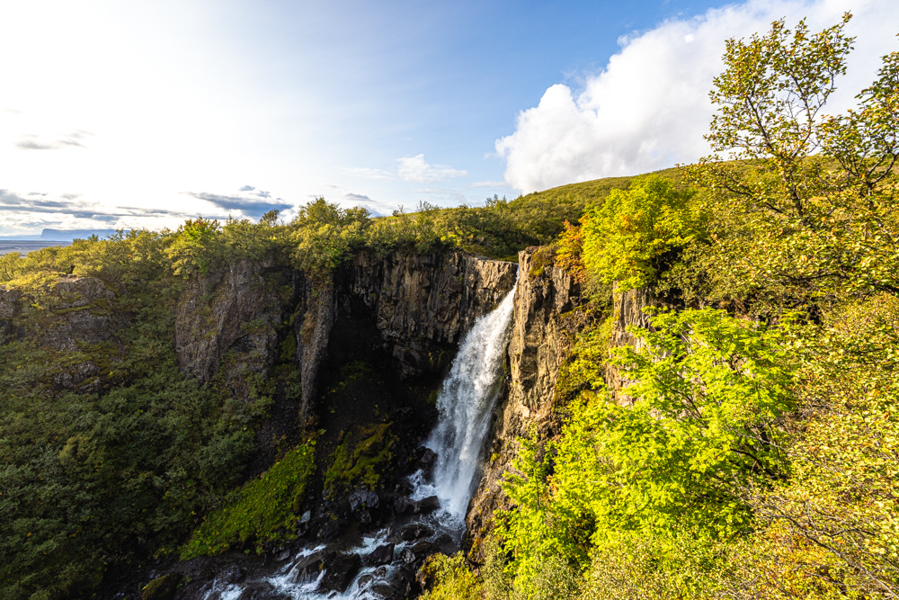 Svartifoss 斯瓦蒂佛斯瀑布