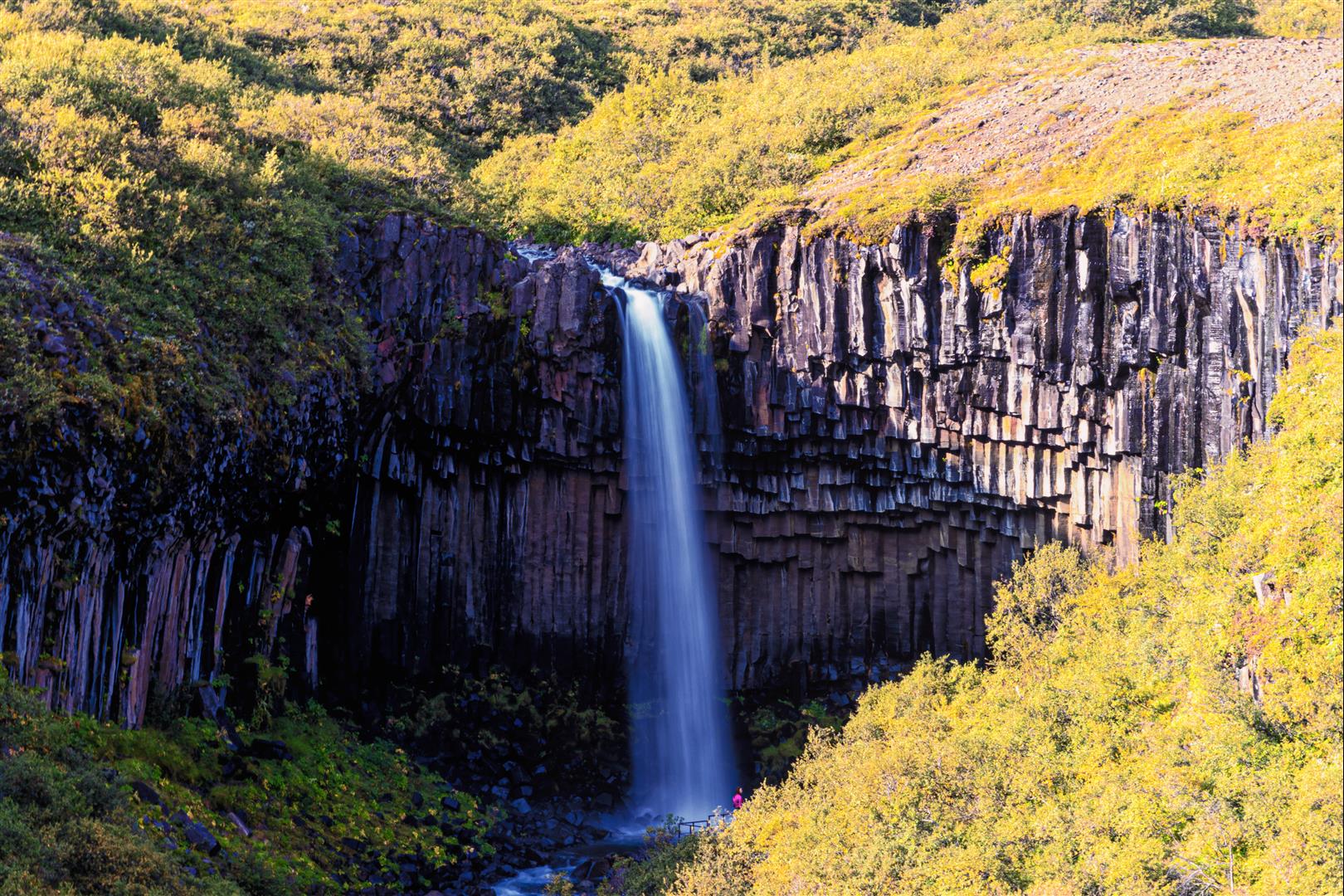 Svartifoss 斯瓦蒂佛斯瀑布