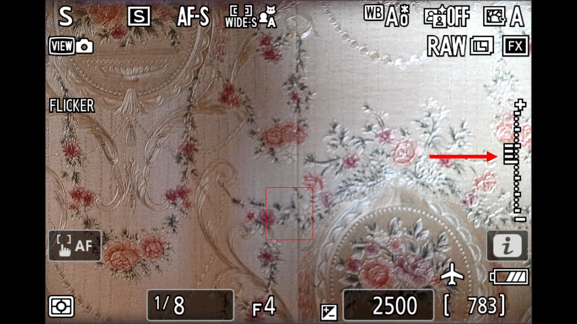 [聊攝影359] Nikon Z 相機通用教學 Vol18.ISO 感光度等級值、曝光控制EV等級、簡易曝光控制