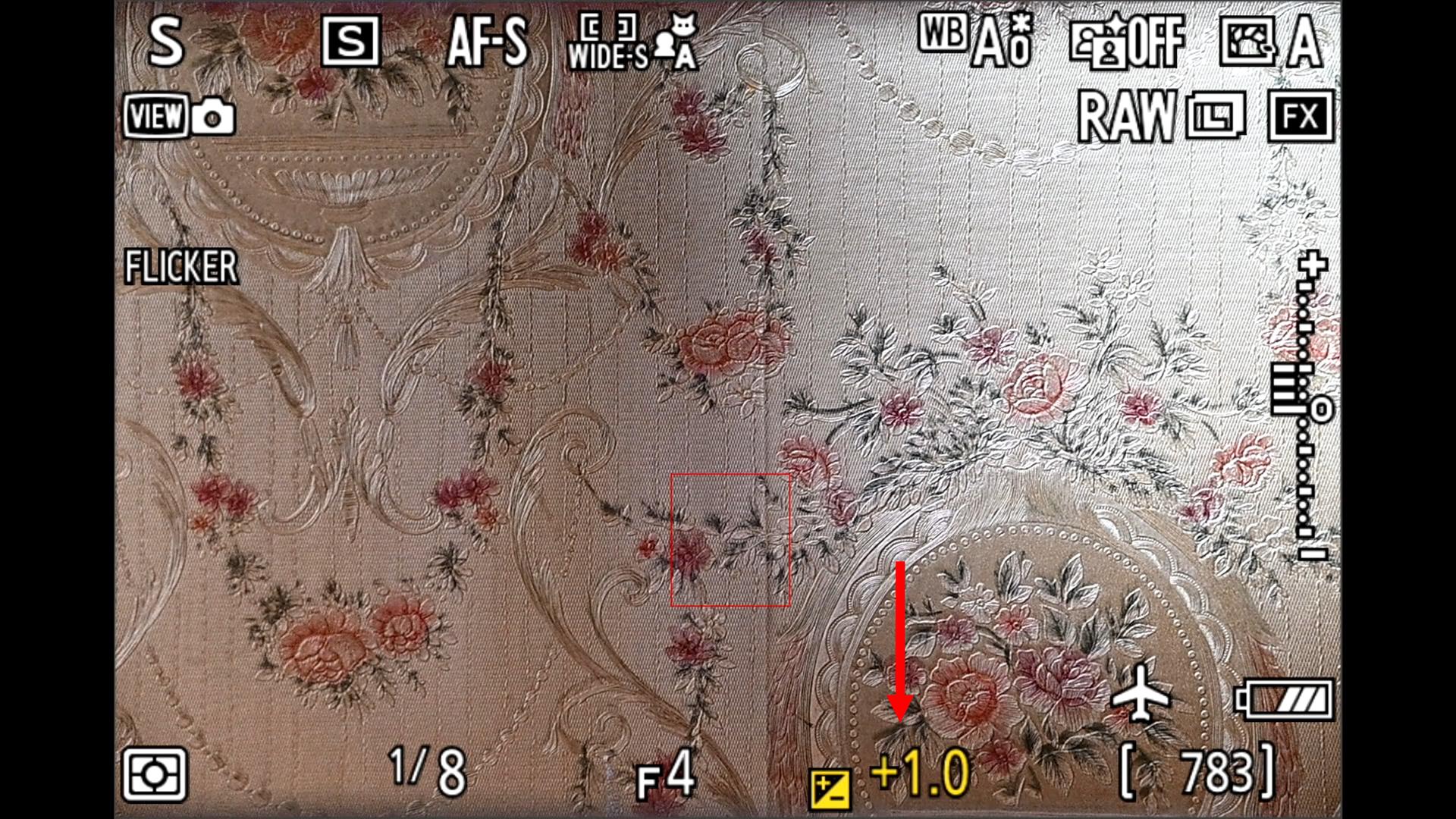 [聊攝影359] Nikon Z 相機通用教學 Vol18.ISO 感光度等級值、曝光控制EV等級、簡易曝光控制