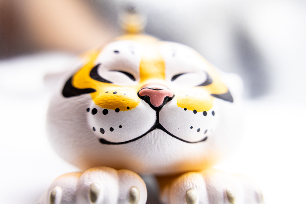 [比攝影132] Sigma 18-50mm F2.8 DC DN RF RF-S Canon RF-S 評測