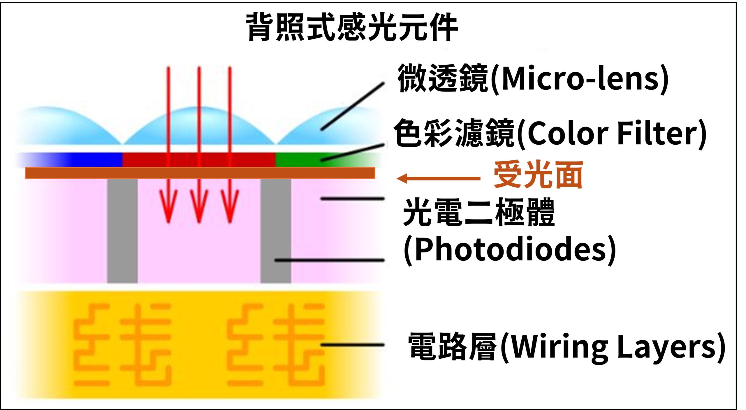 [聊攝影360] 背照式、前照式、堆疊式感光元件結構介紹