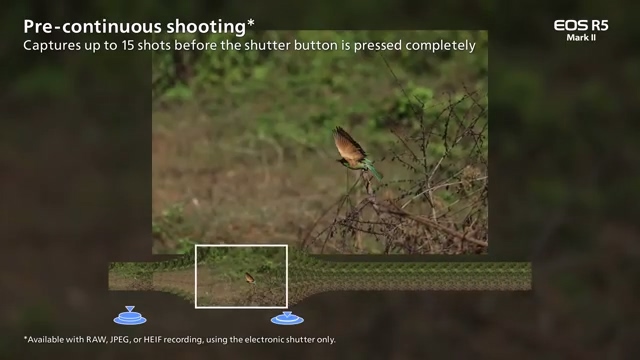 Canon EOS R5M2重點規格