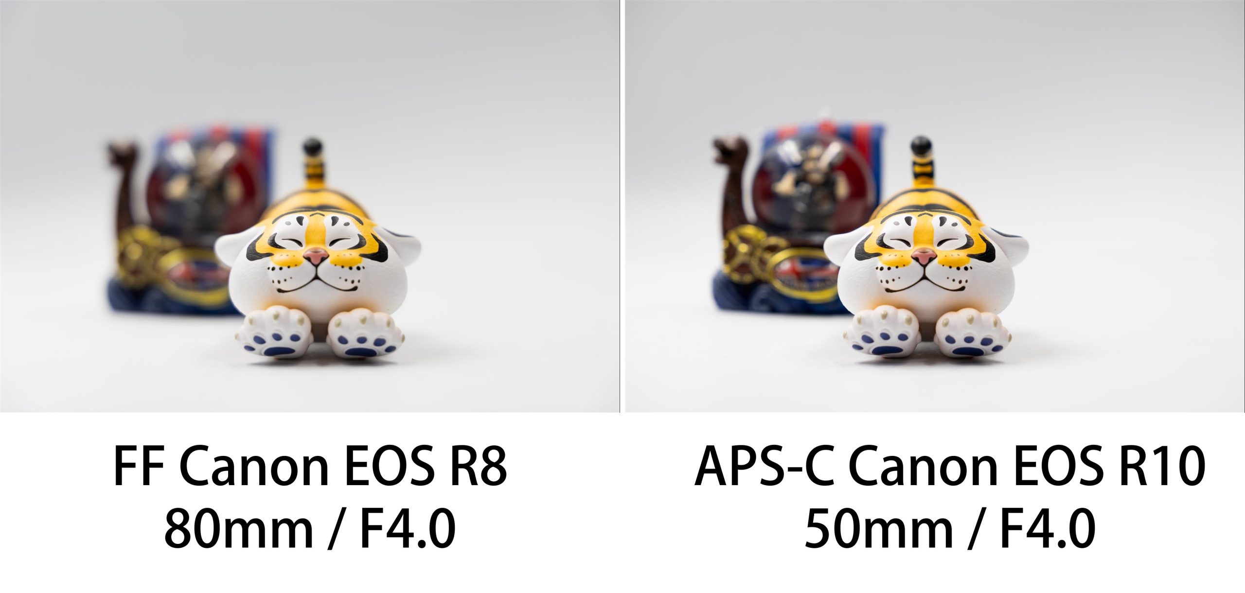 [教攝影124] 全片幅是什麼? 全片幅的 2 項優點與 2 項缺點