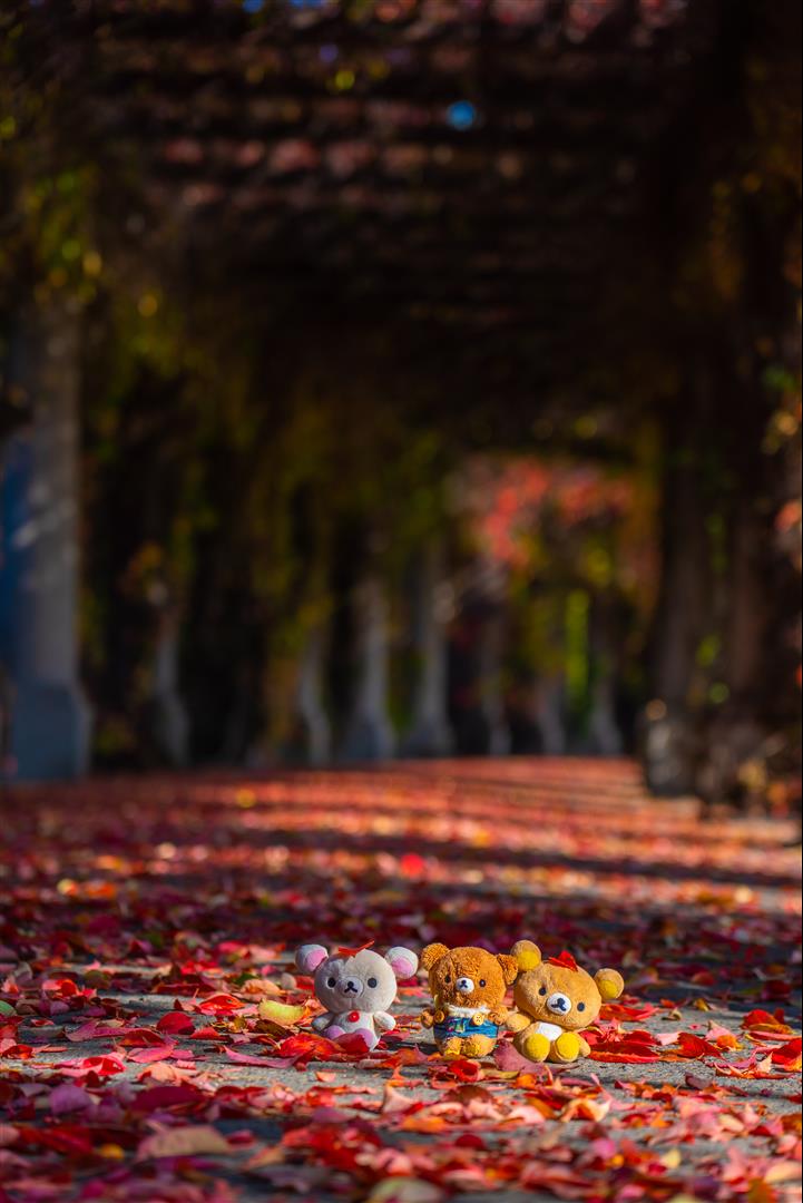 [2019波蘭自駕] 第 05 天 – 樂斯拉夫一日遊