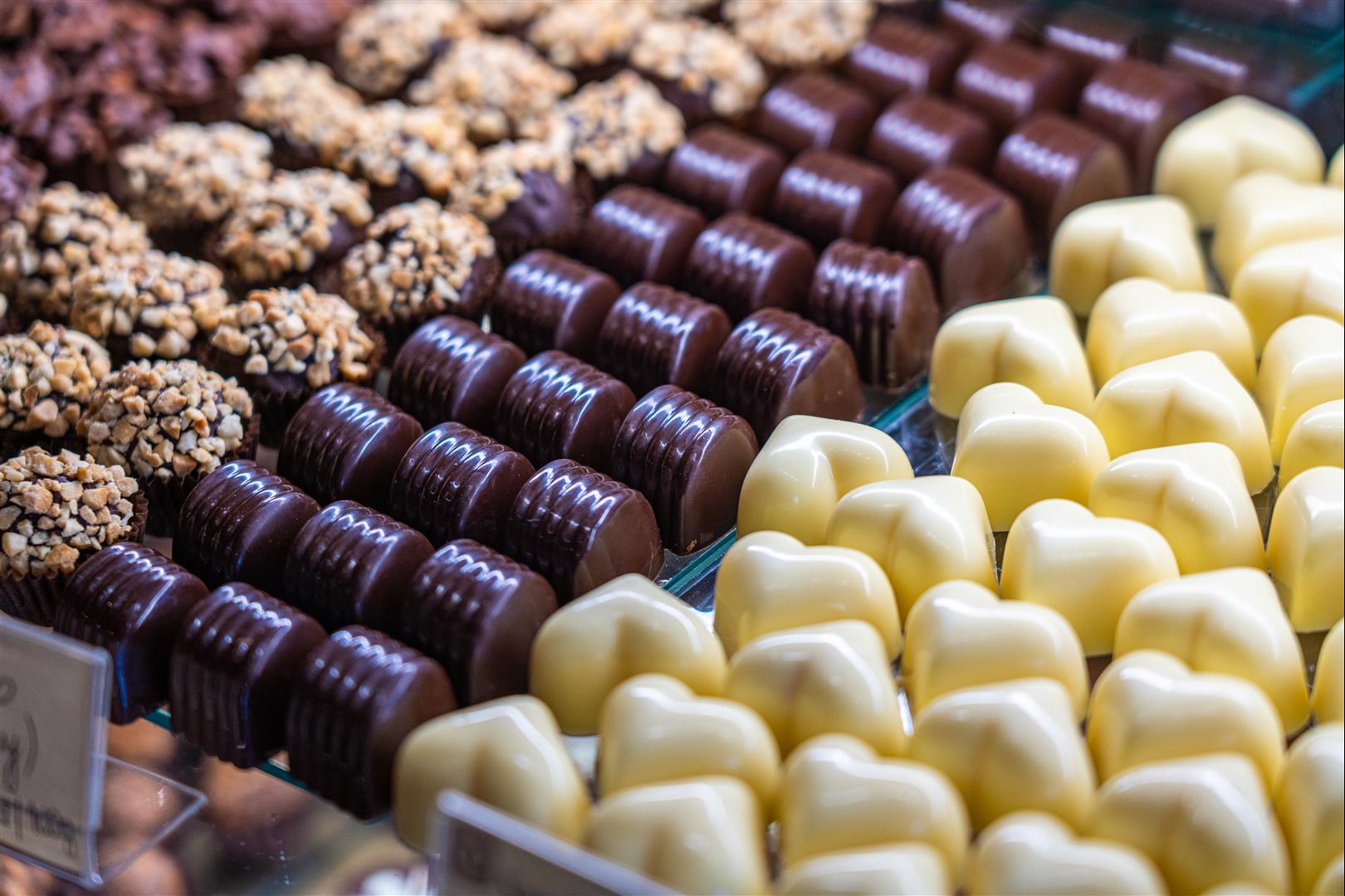 [2019波蘭自駕] 第 05 天 – 樂斯拉夫一日遊