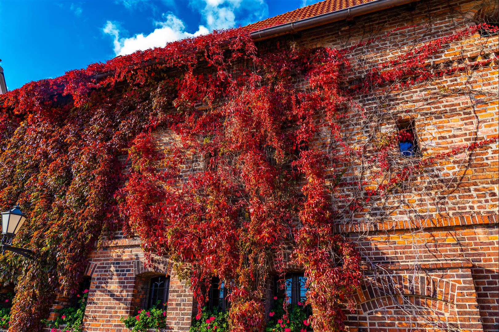 [2019波蘭自駕] 第 07 天 – 波茲南 - 托倫