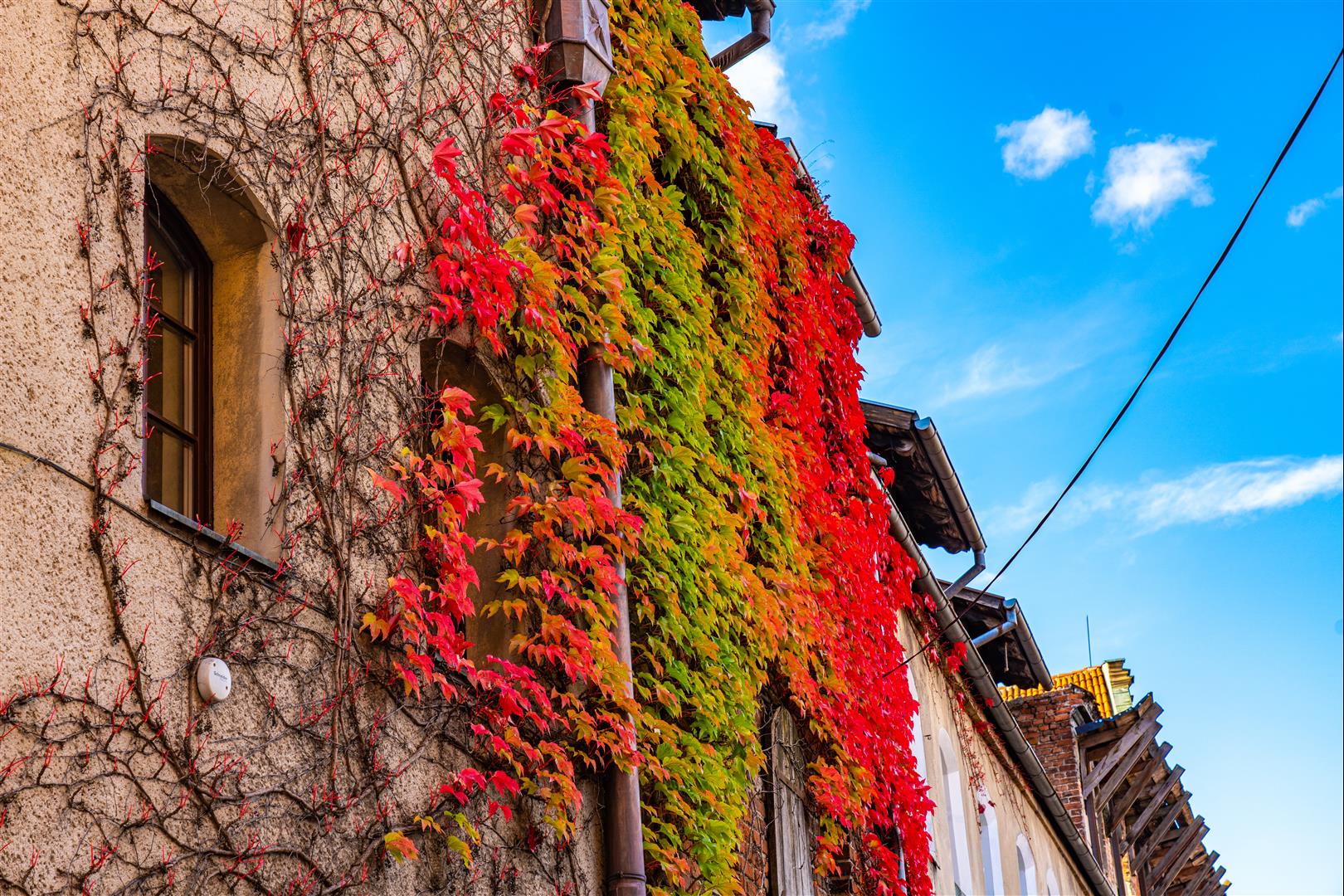 [2019波蘭自駕] 第 07 天 – 波茲南 - 托倫