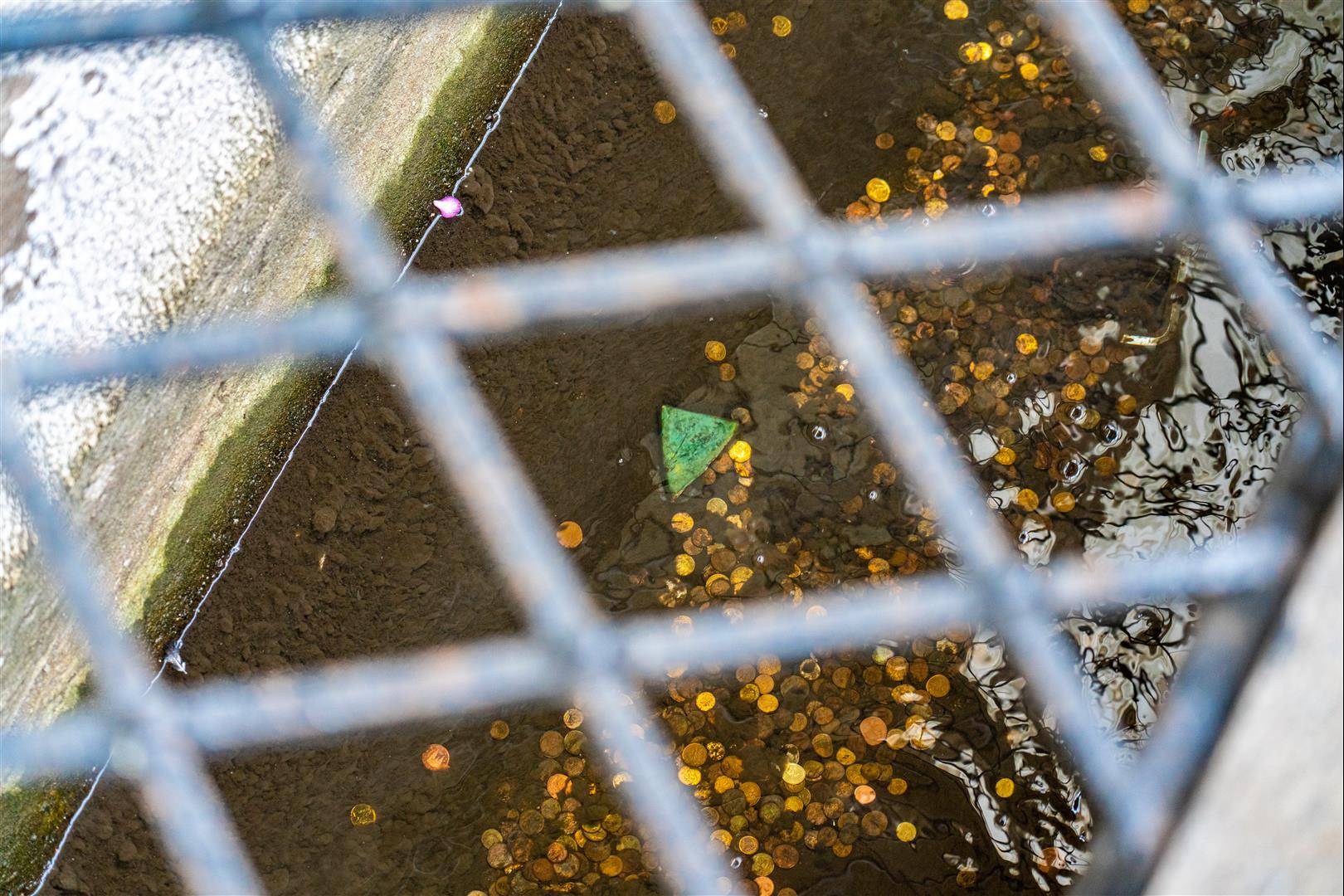 [2019波蘭自駕] 第 07 天 – 波茲南 - 托倫