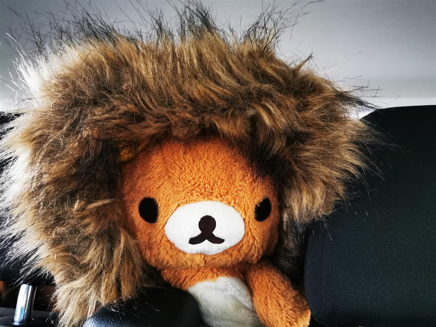 [2019波蘭自駕] 第 08 天 – 托倫 - 馬爾堡 - 托倫