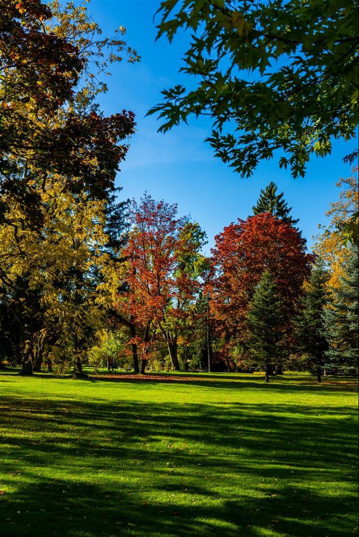 [2019波蘭自駕] 第 10 天 – 托倫 - 華沙