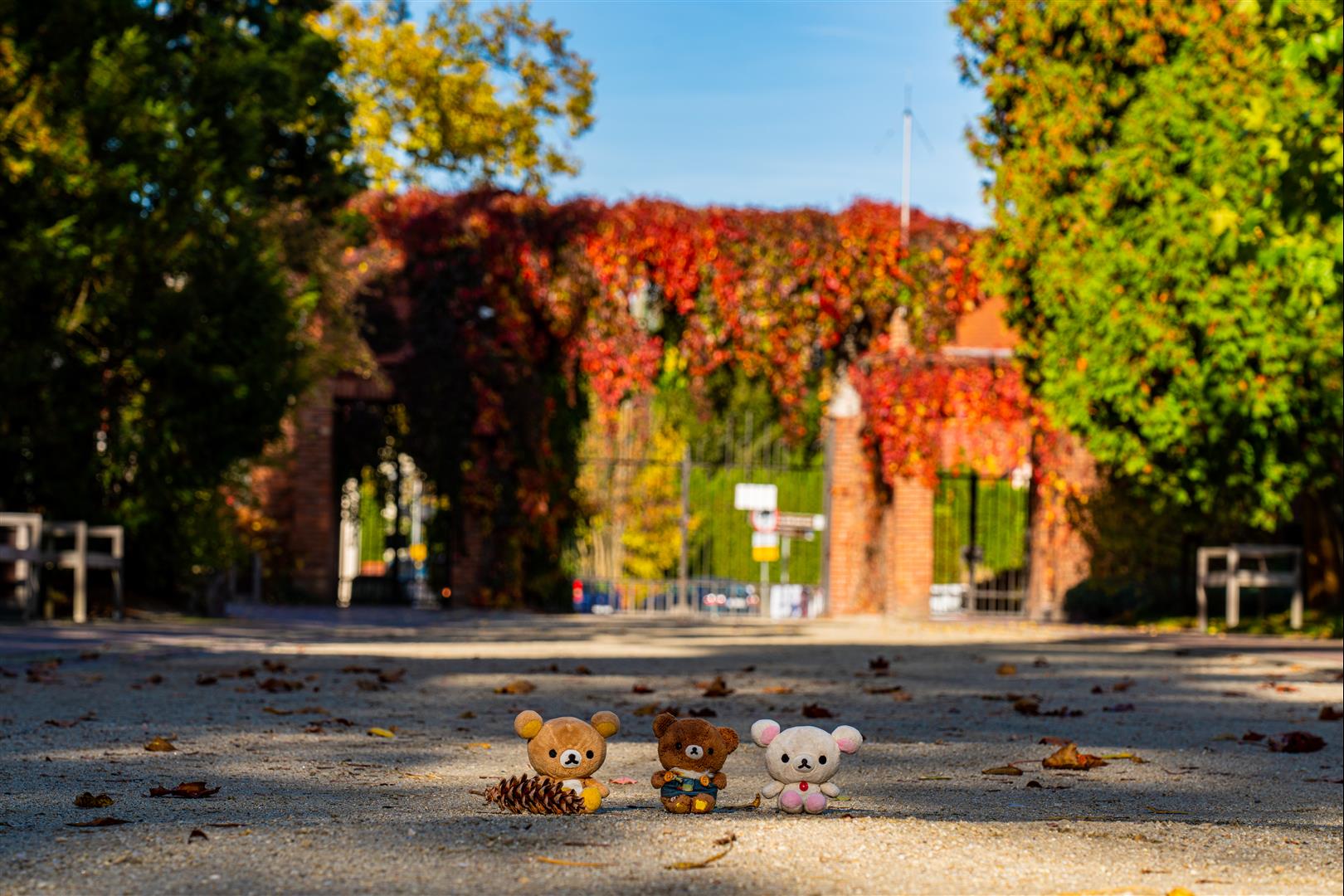 [2019波蘭自駕] 第 10 天 – 托倫 - 華沙