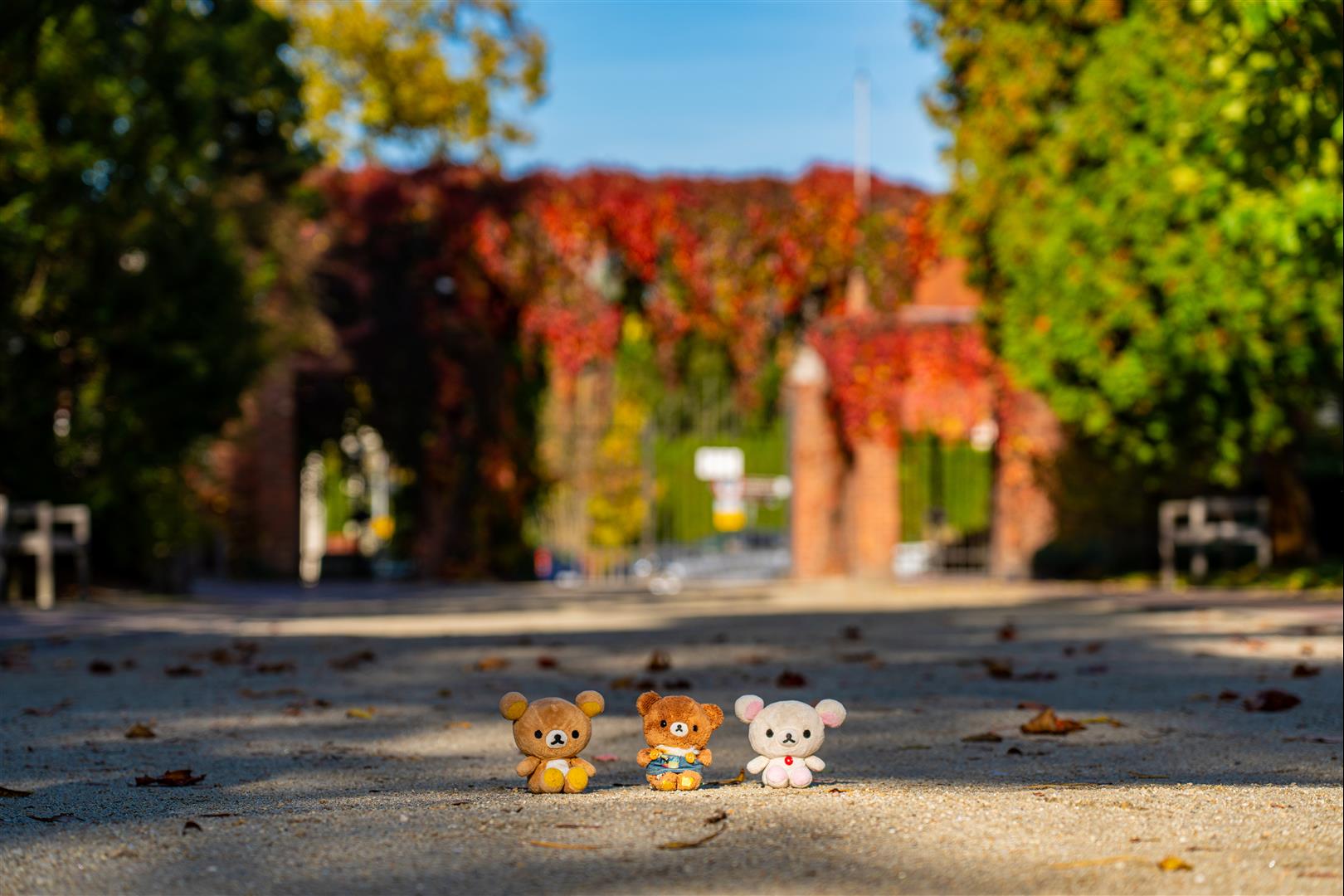 [2019波蘭自駕] 第 10 天 – 托倫 - 華沙