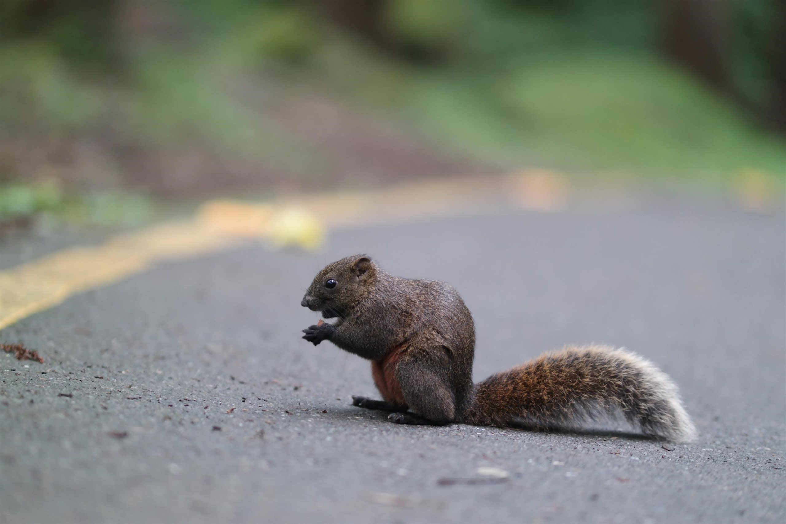 [攝影趣事122] 拍照要不要挶泥於光圈、快門、感光度，專注在構圖就好